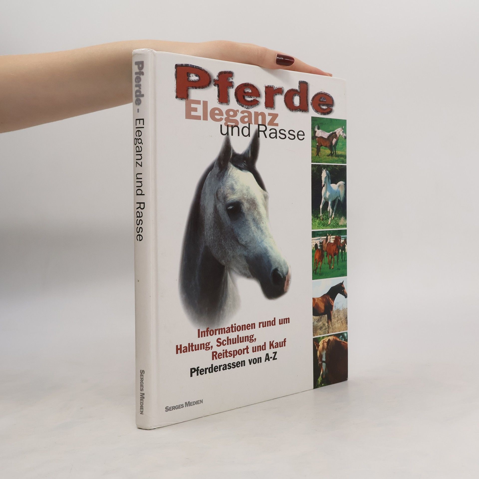 Serges Medien Pferde Eleganz und Rasse