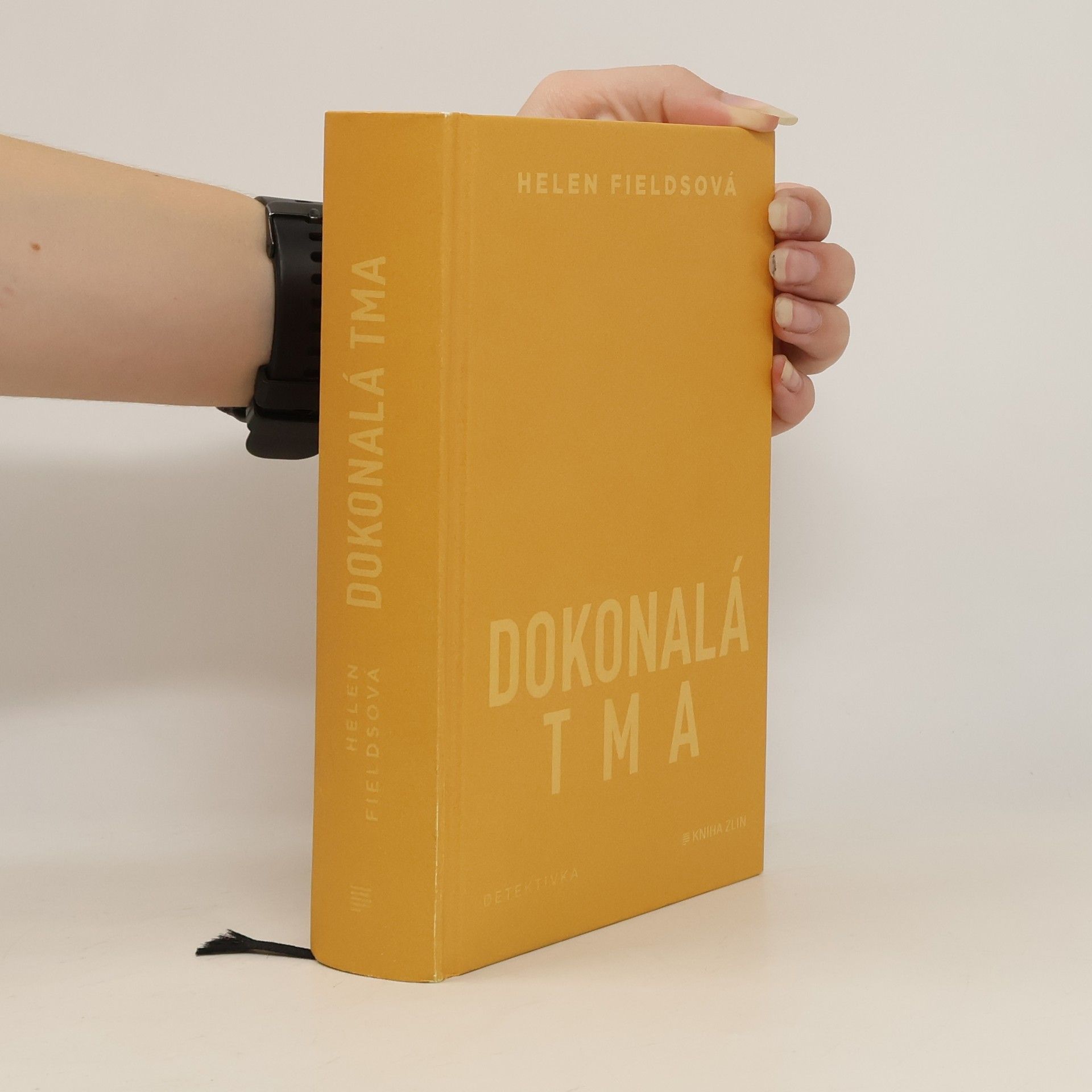 Helen Fields Dokonalá tma
