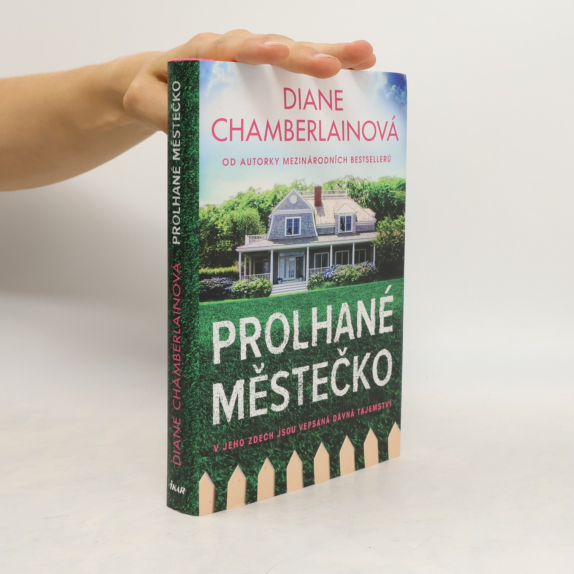 Diane Chamberlain Prolhané městečko