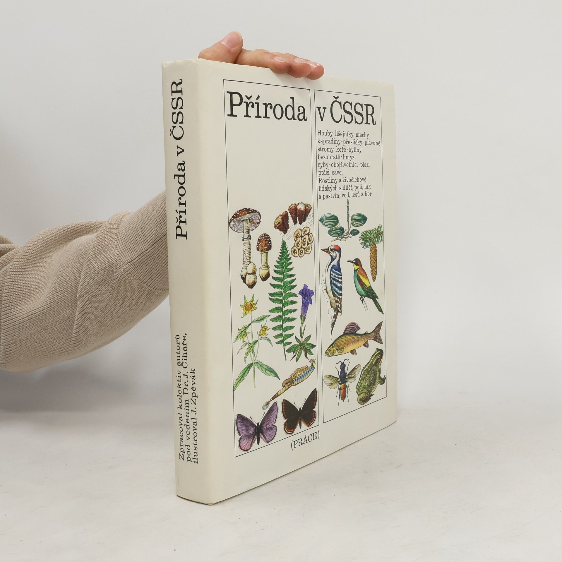 Kolektív autorov Příroda v ČSSR