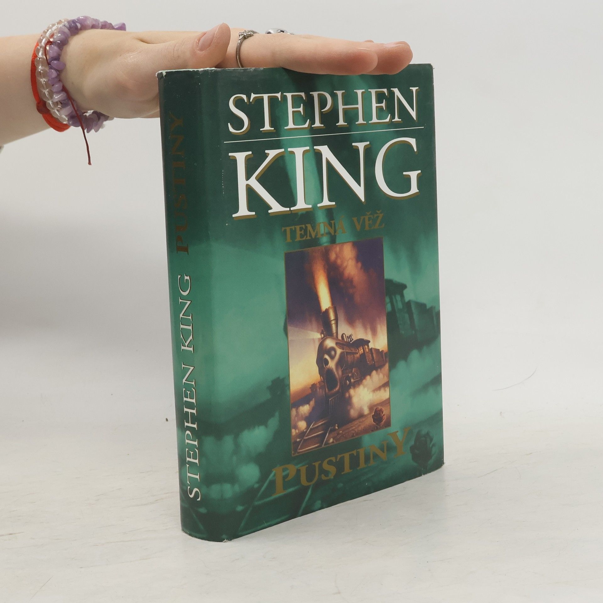 Stephen King Temná věž. Pustiny