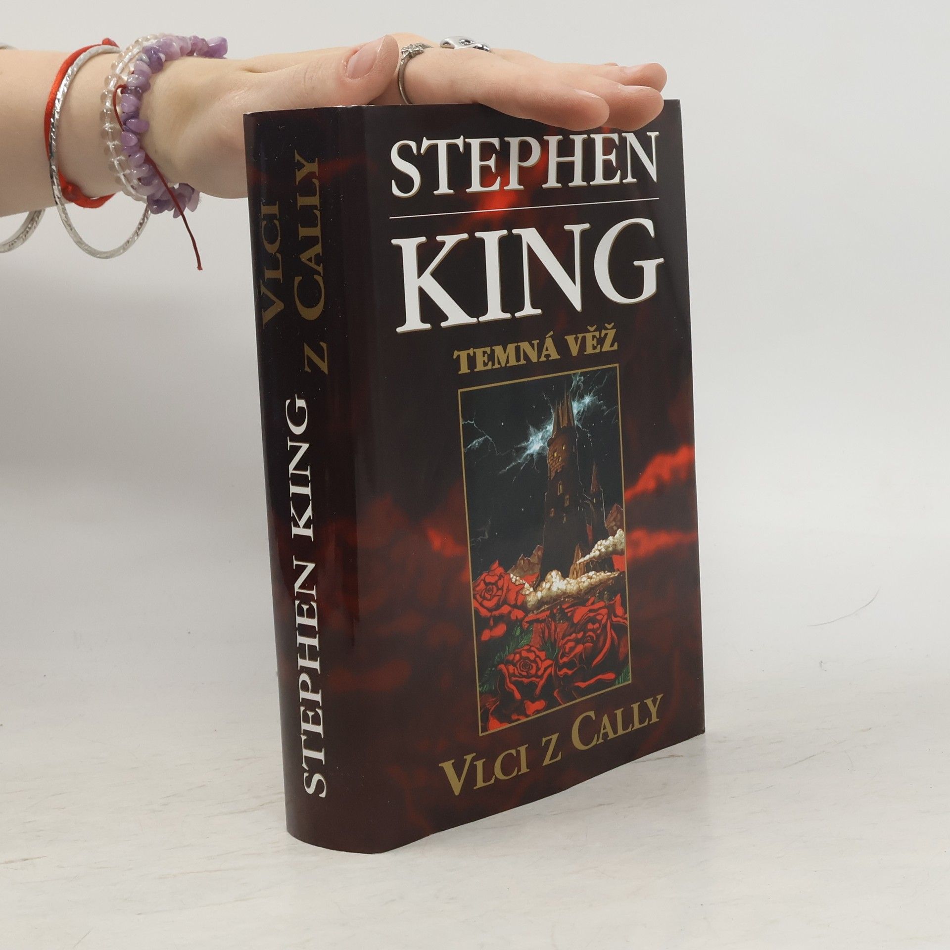 Stephen King Vlci z Cally