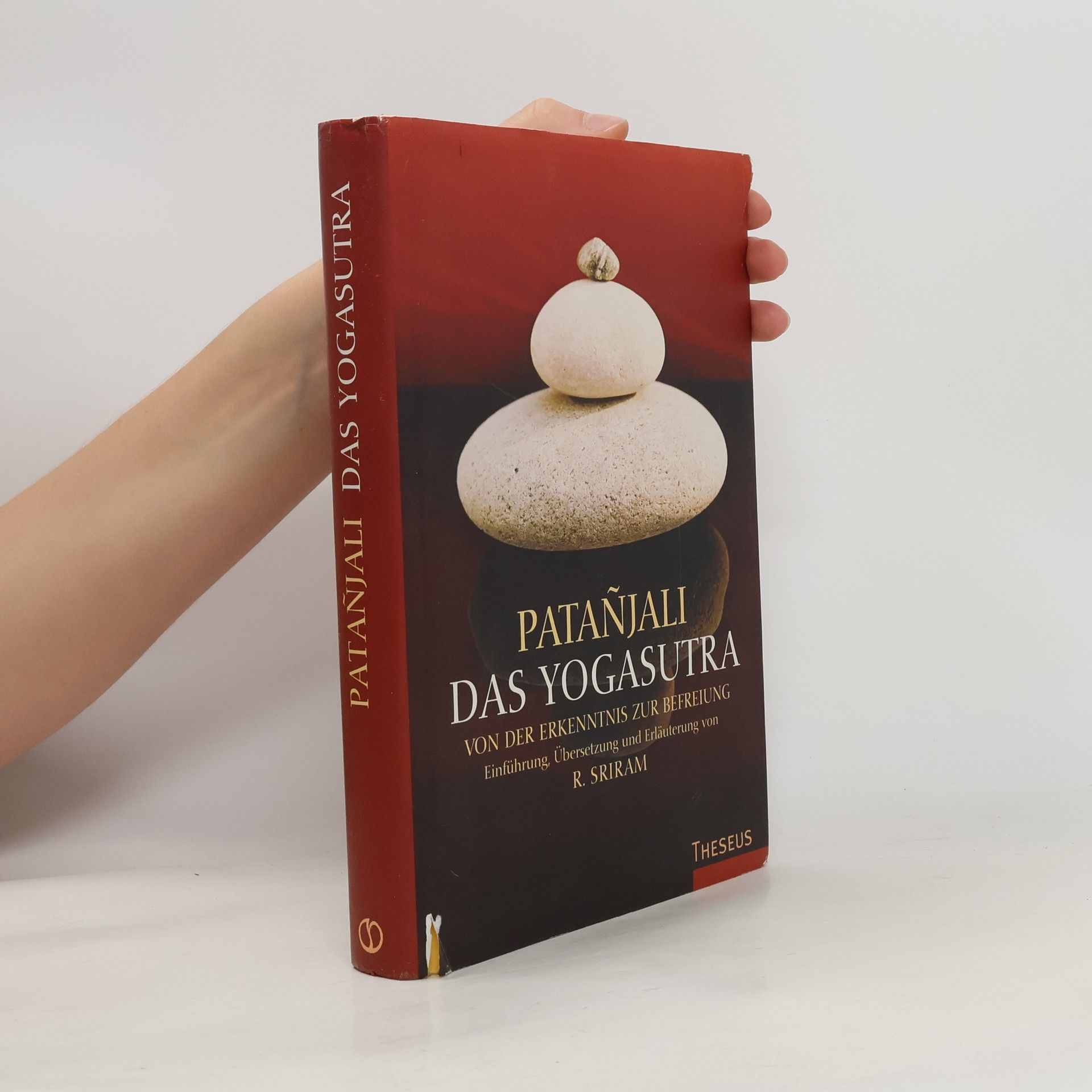 Patanjali Das Yogasutra