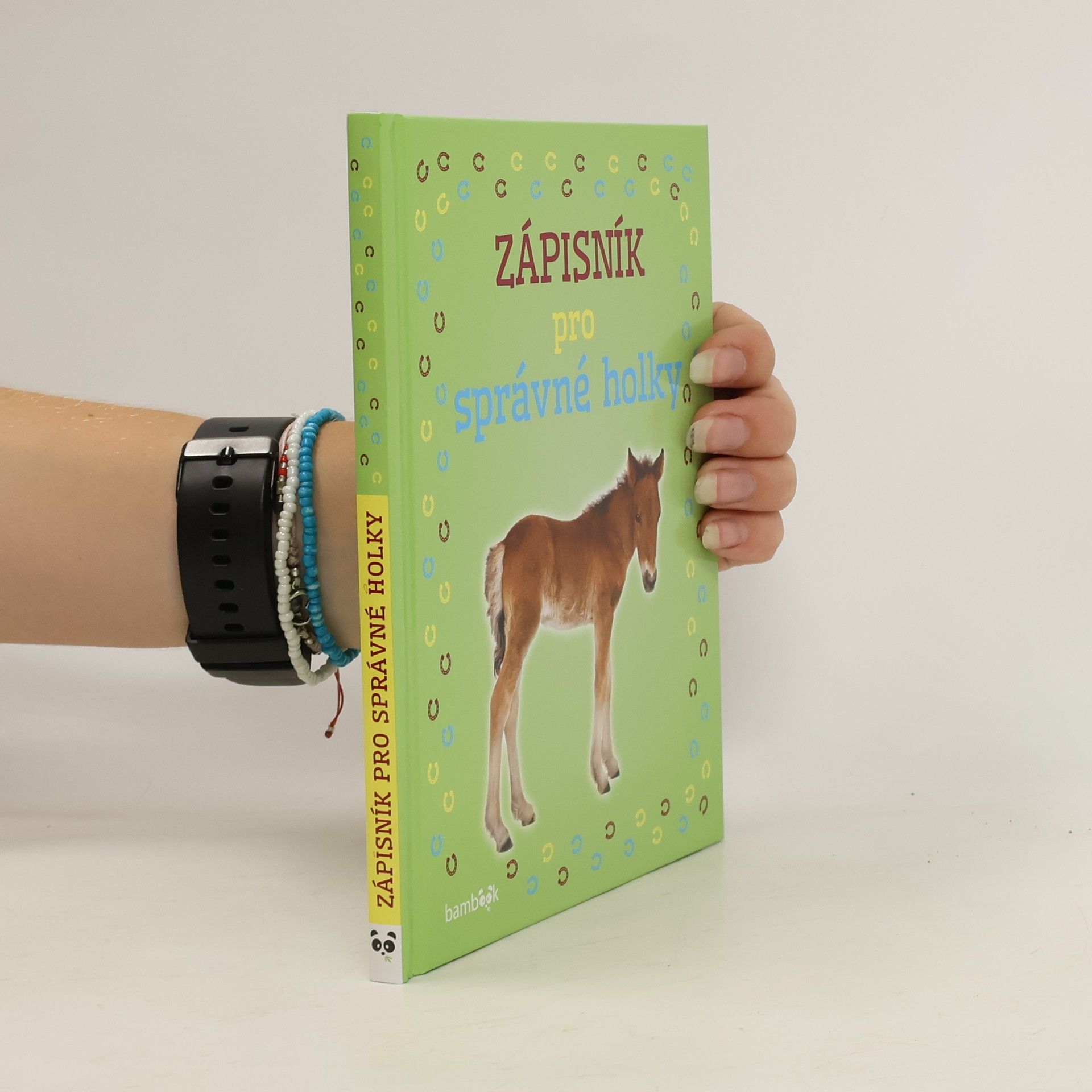 Autorenkollektiv Zápisník pro správné holky - Hříbátka