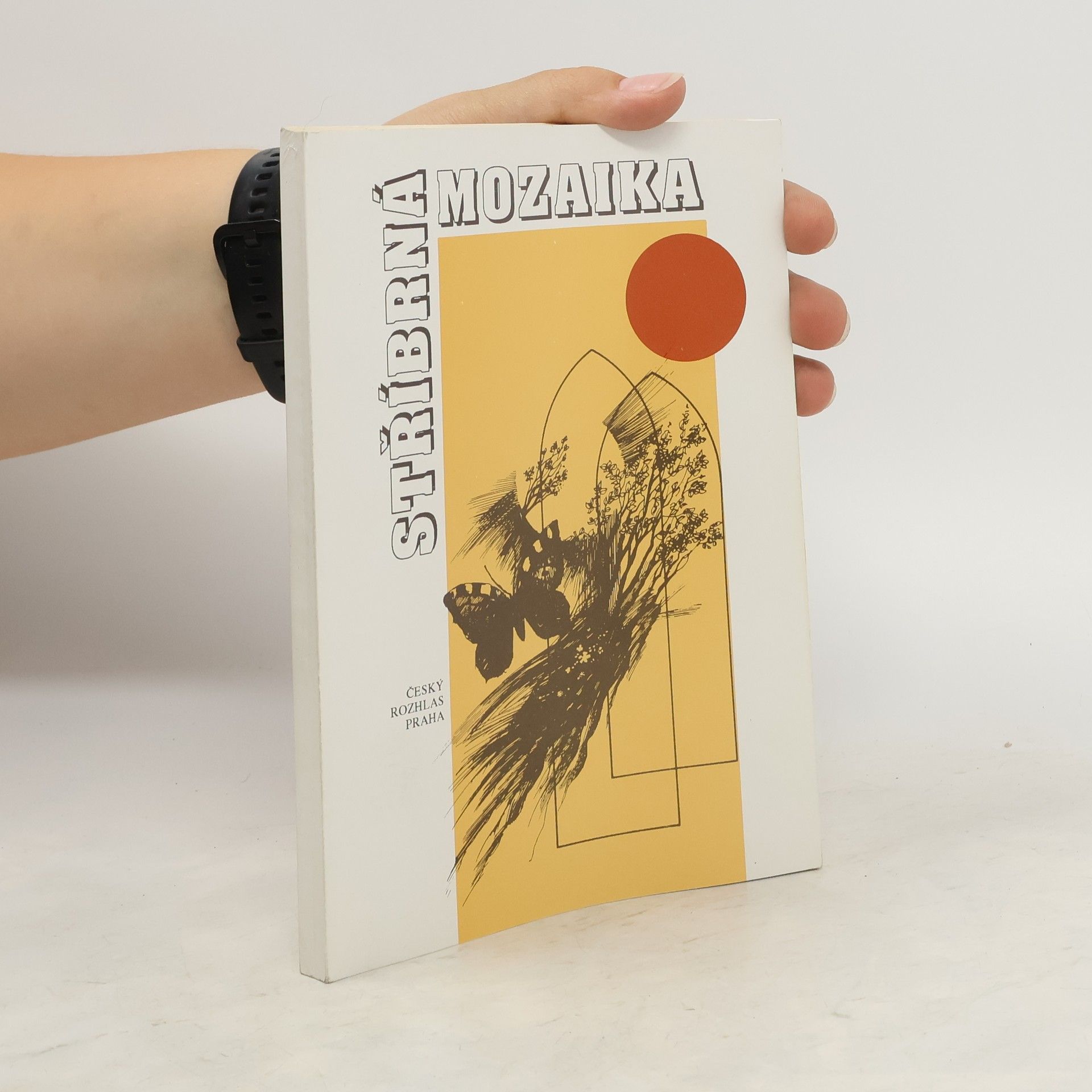Dagmar Francová Stříbrná mozaika 1. díl