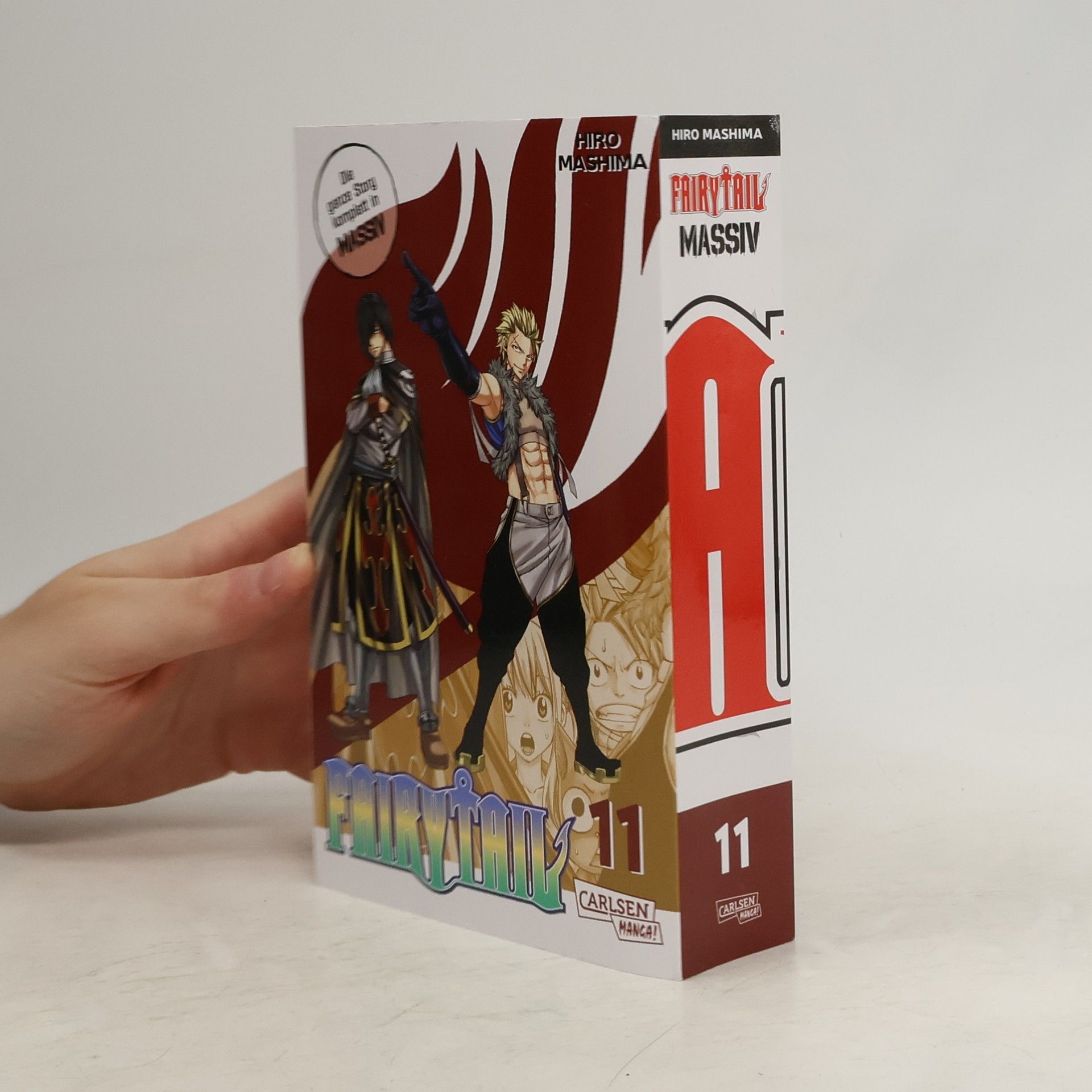 Hiro M. Fairy Tail Massiv 11