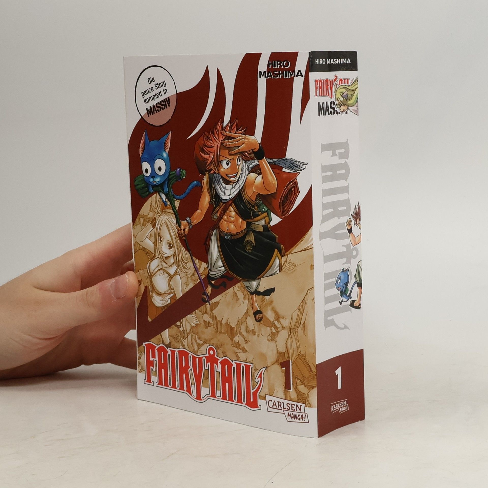 Hiro M. Fairy Tail Massiv 1