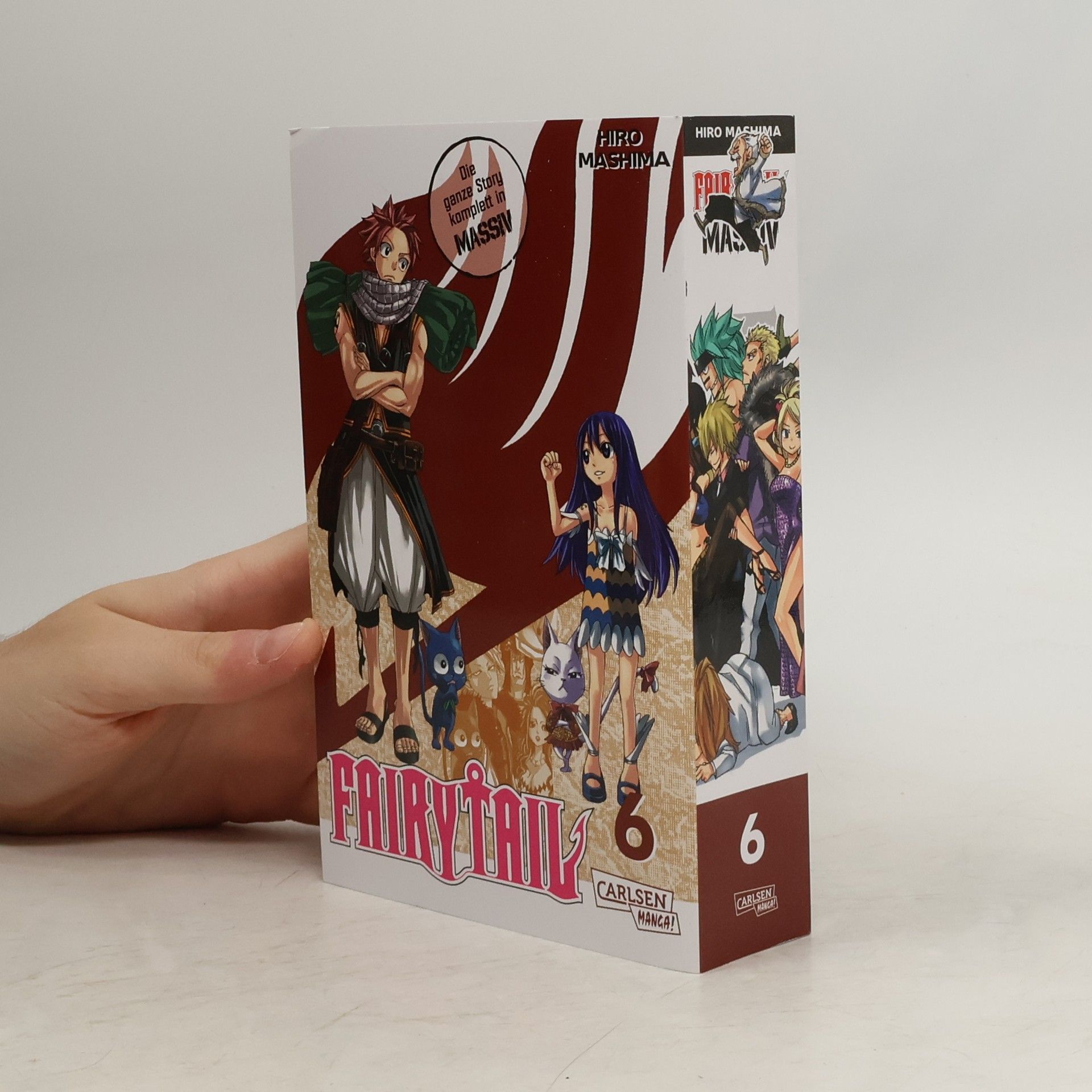 Hiro M. Fairy Tail Massiv 6