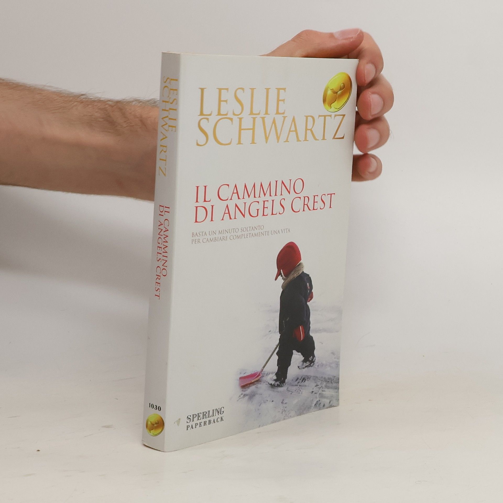 Leslie Schwartz Il cammino di Angels Crest