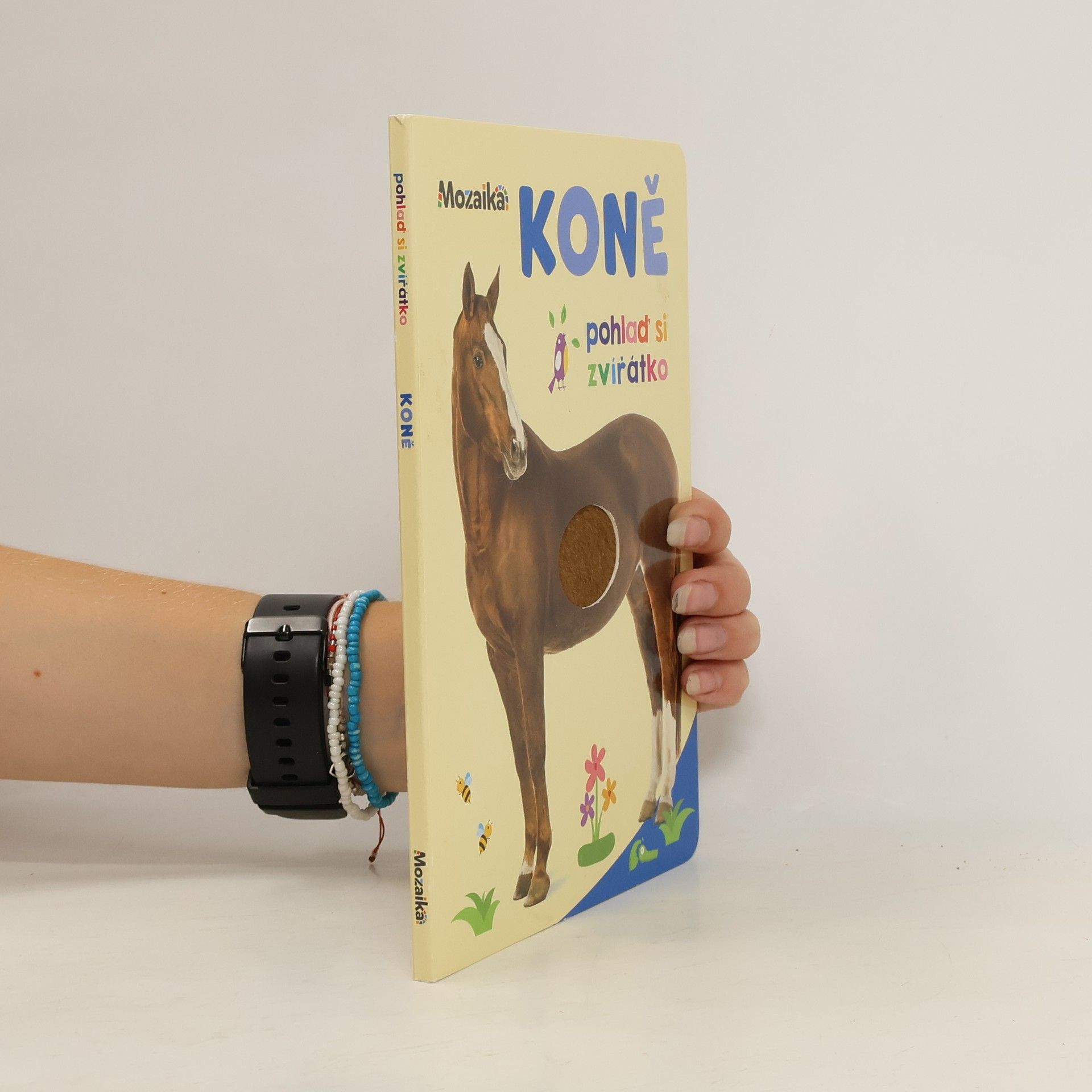 Autorenkollektiv Koně : pohlaď si zvířátko