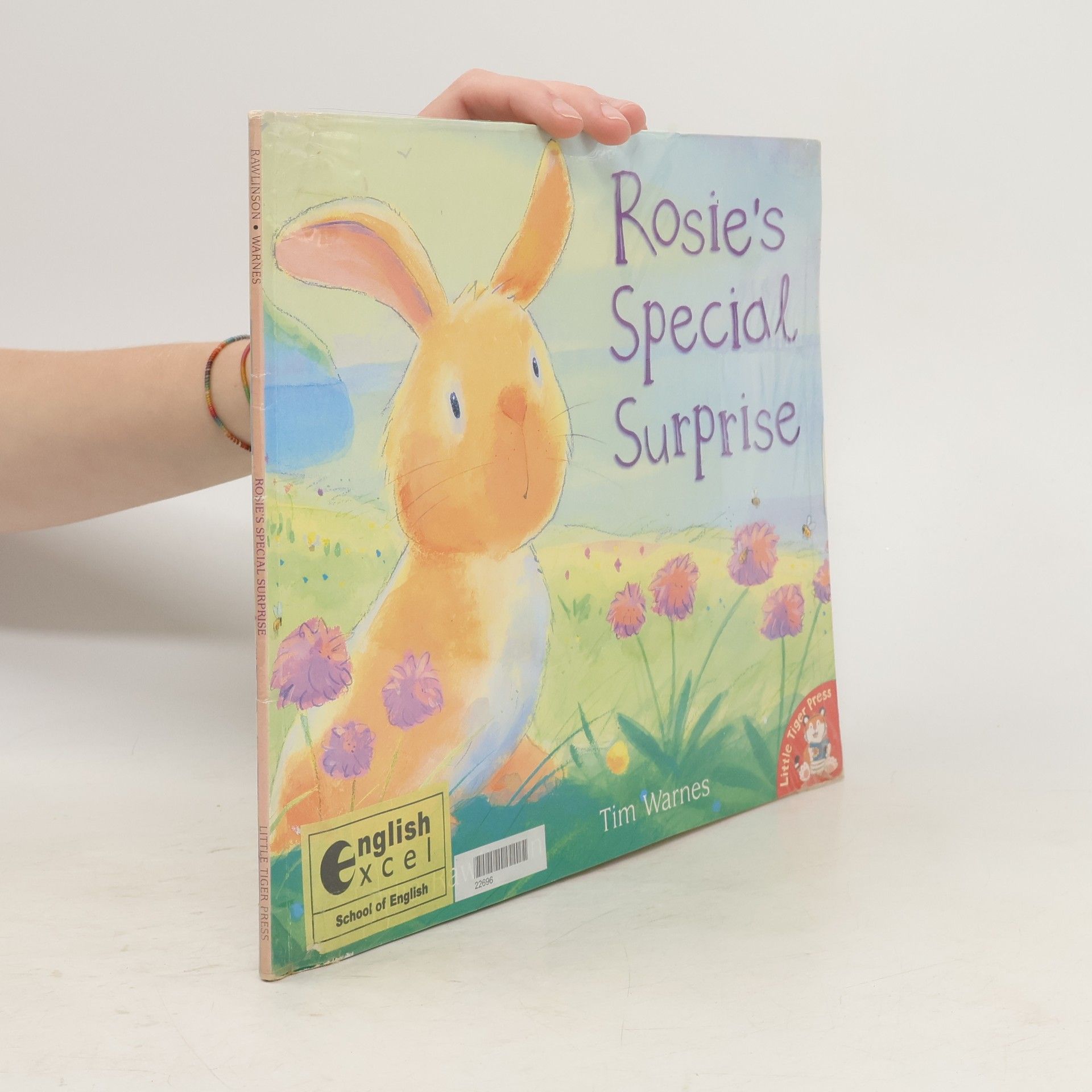 Tim Warnes Rosie's Special Surprise