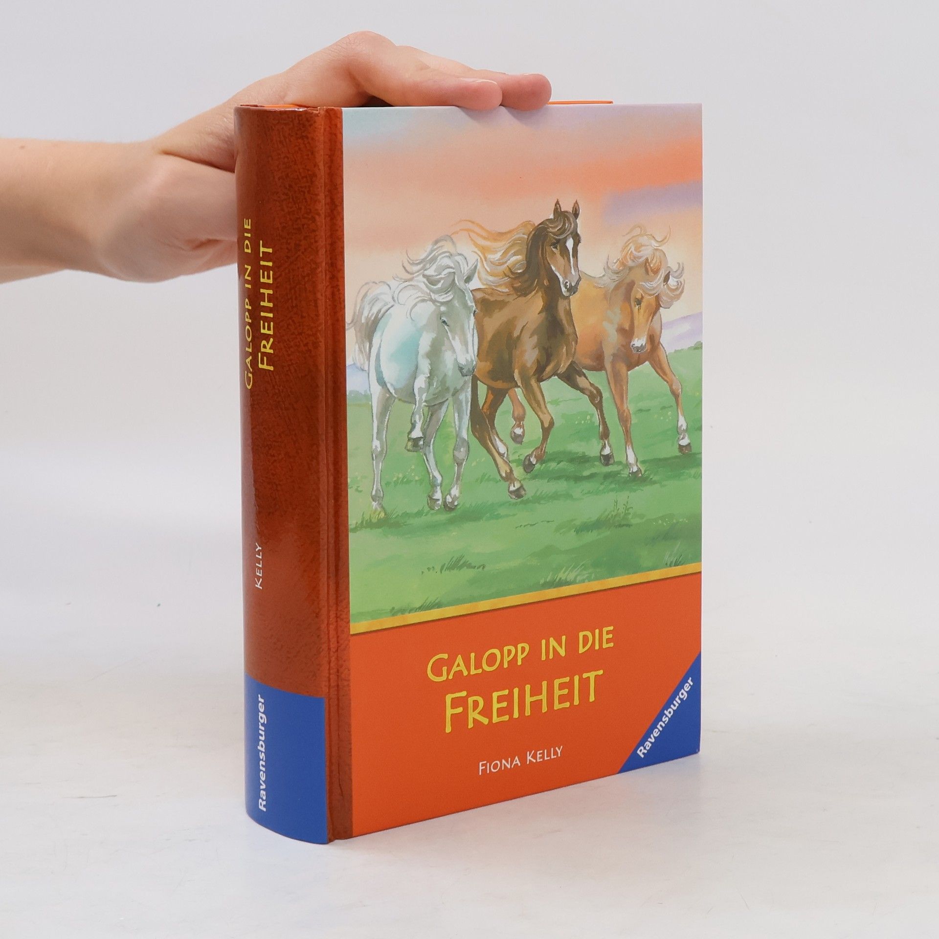 Fiona Kelly Galopp in die Freiheit