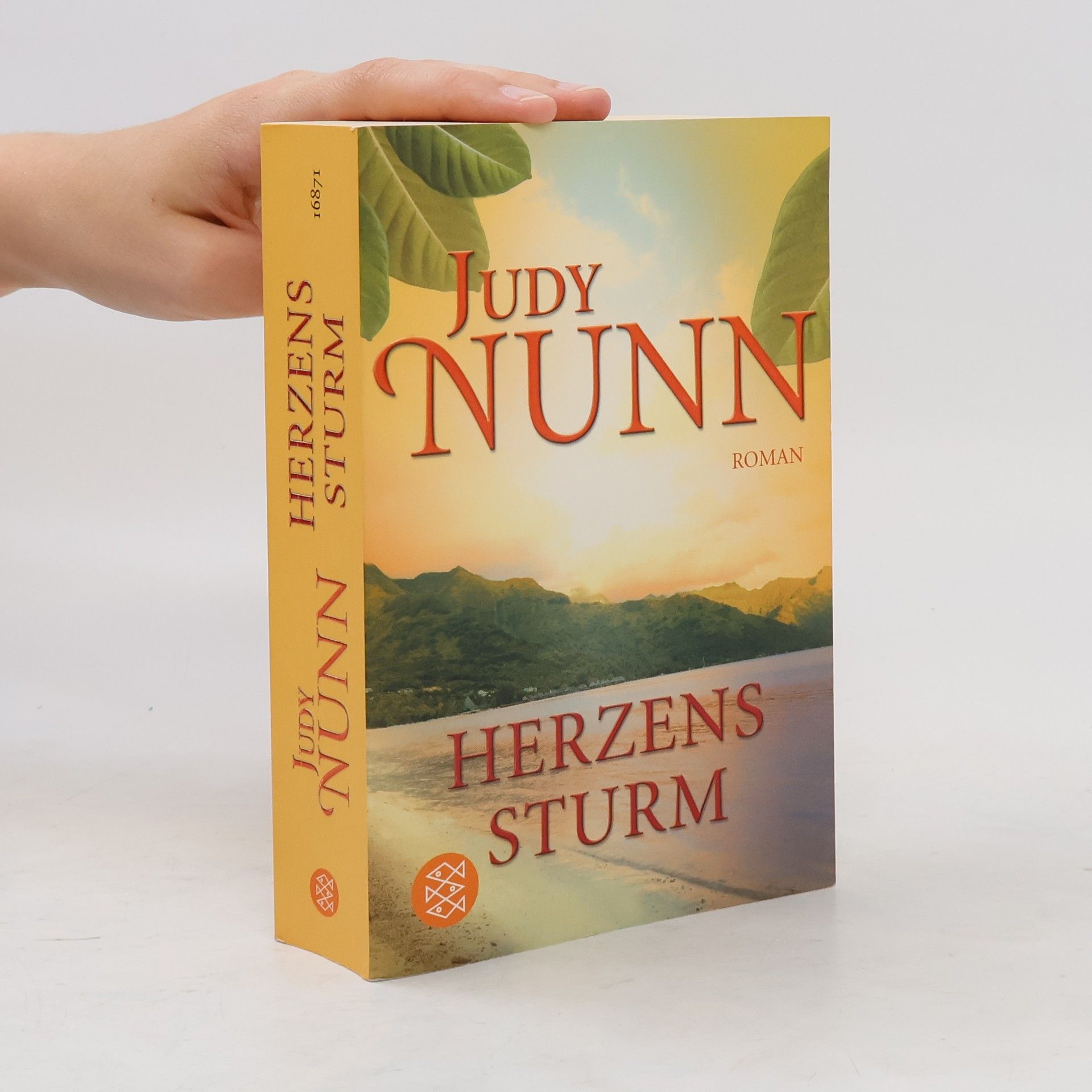 Judy Nunn Herzenssturm