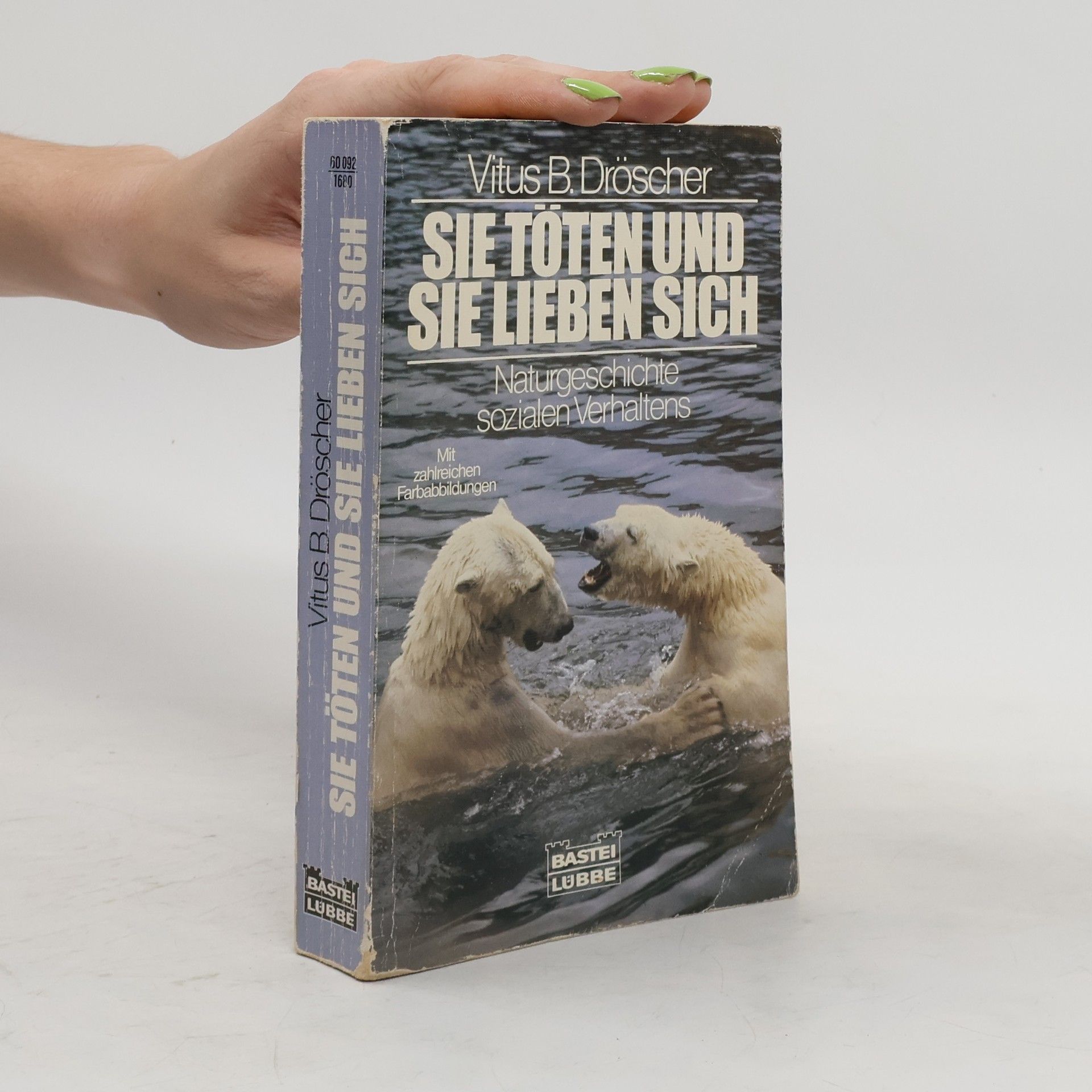 Harriet Bruce Annan Wie ein Stern am Horizont