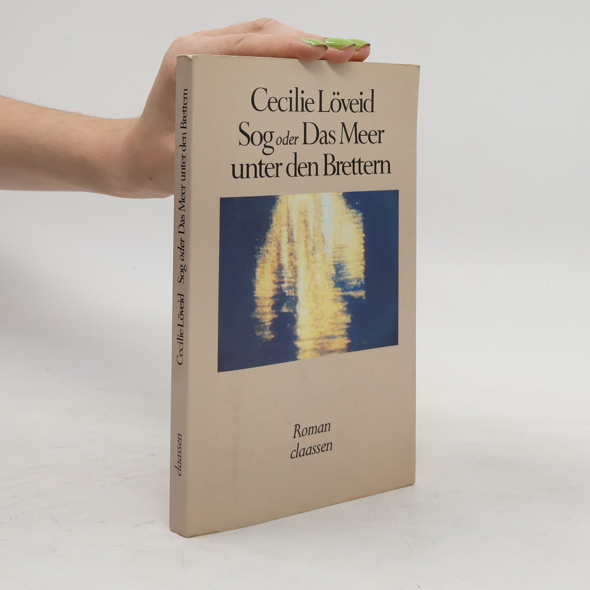 Cecilie Löveid Sog oder das Meer unter den Brettern