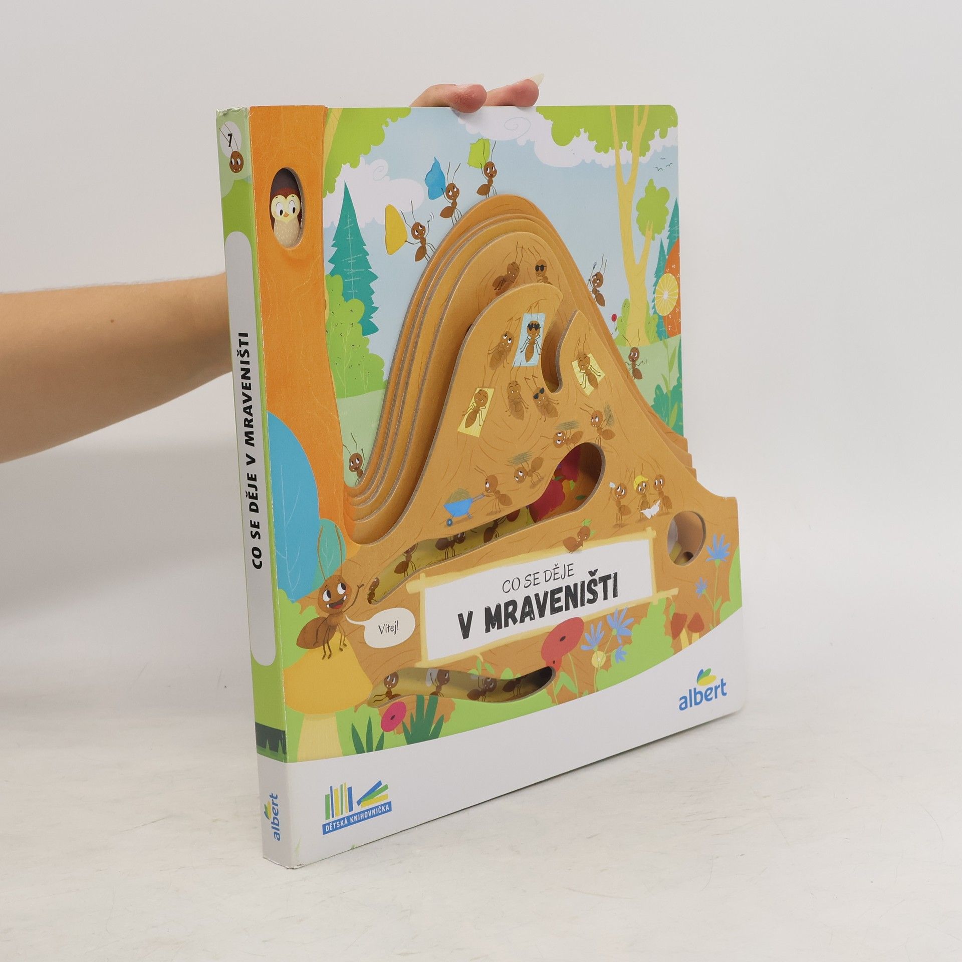 Autorenkollektiv Co se děje v mraveništi