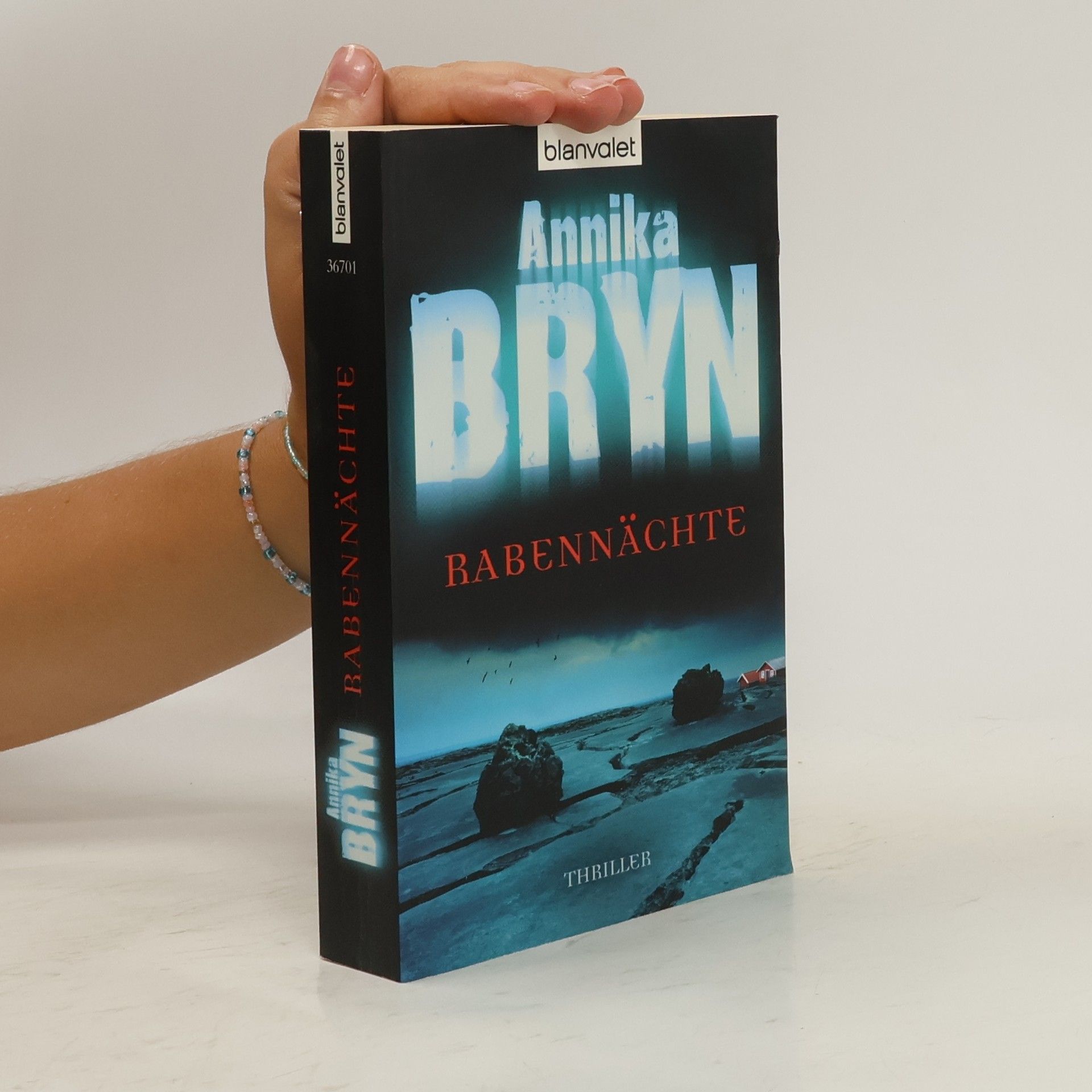 Annika Bryn Rabennächte