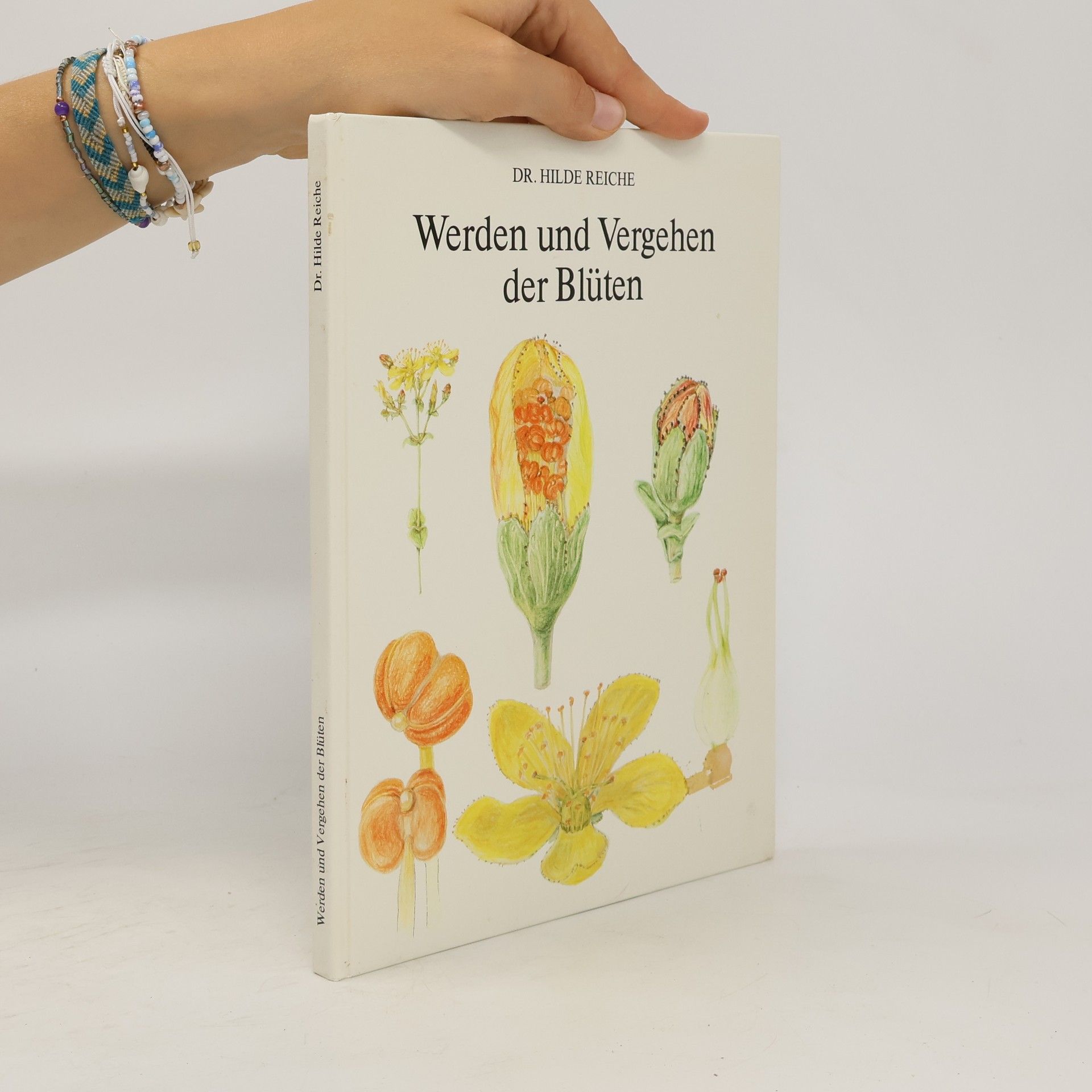 Hilde Reiche Werden und Vergehen der Blüten