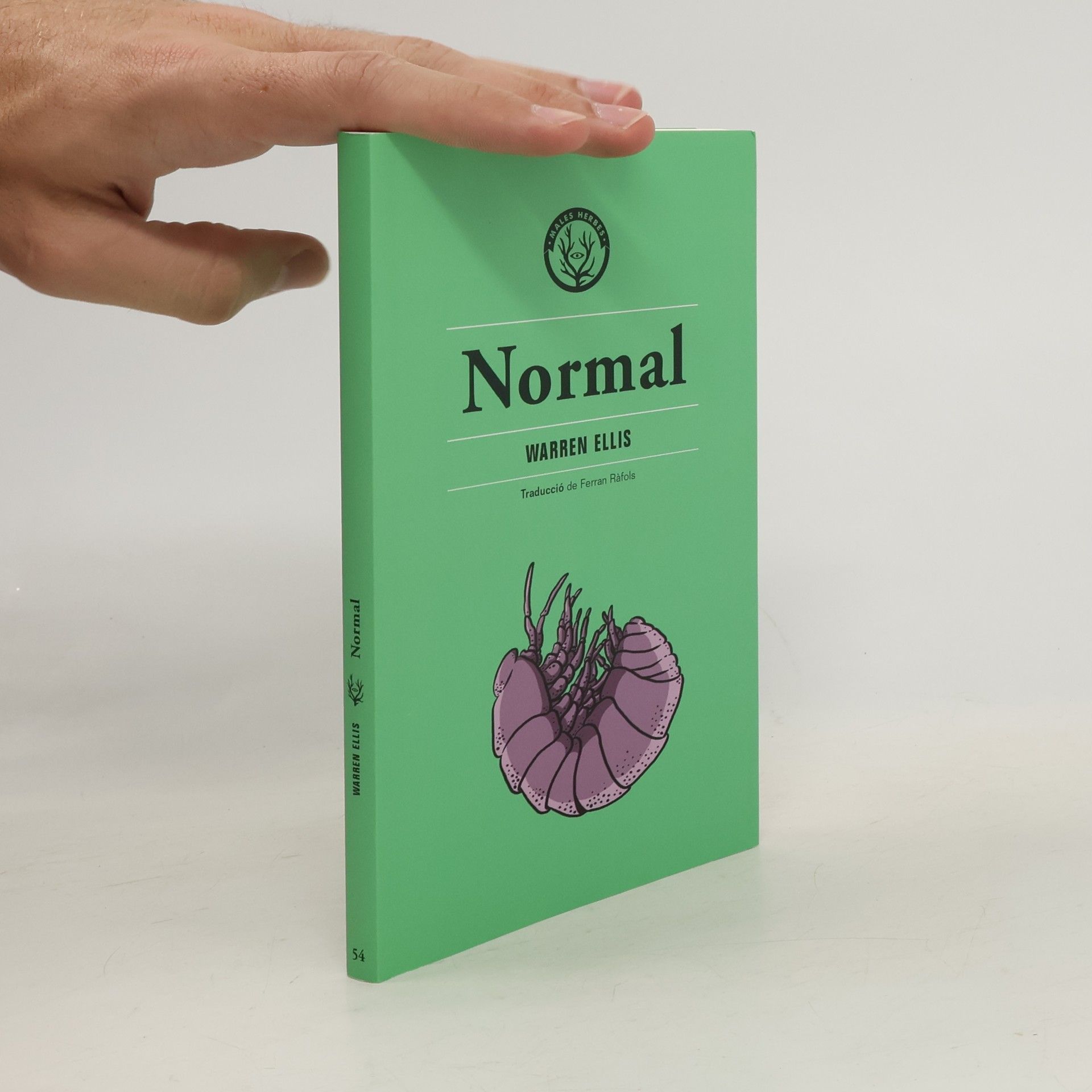 Ferran Ràfols Gesa Normal