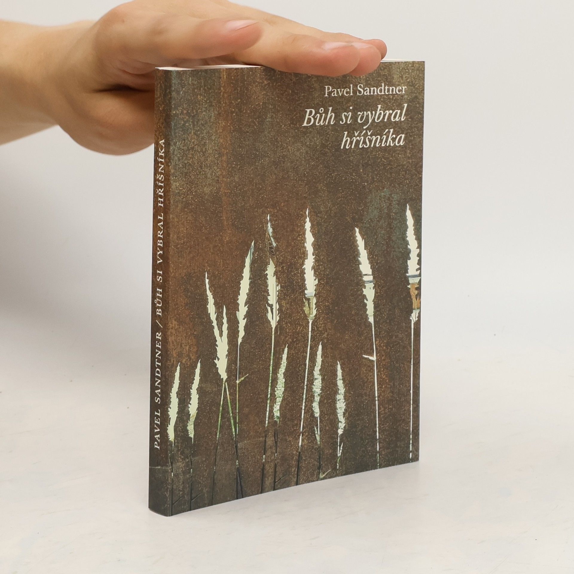 Pavel Sandtner Bůh si vybral hříšníka