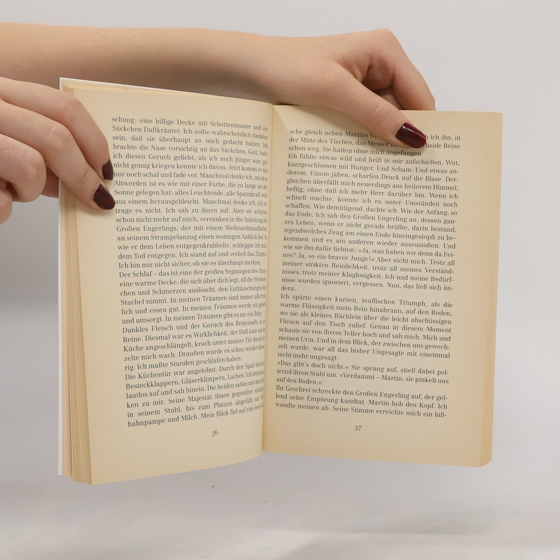 Gabriele Wolff Still und starr ruht der See