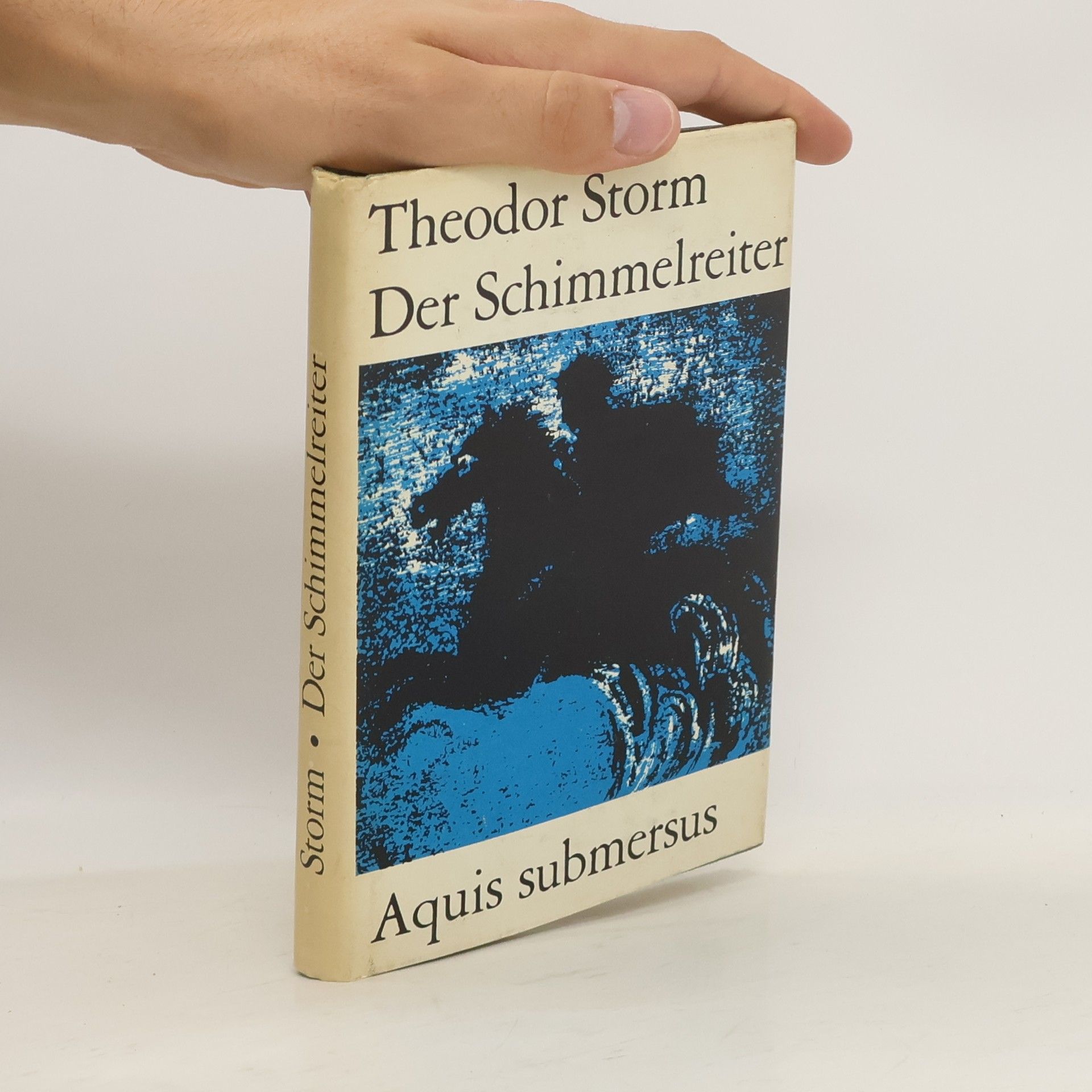 Theodor Storm Der Schimmelreiter. Aquis submersus
