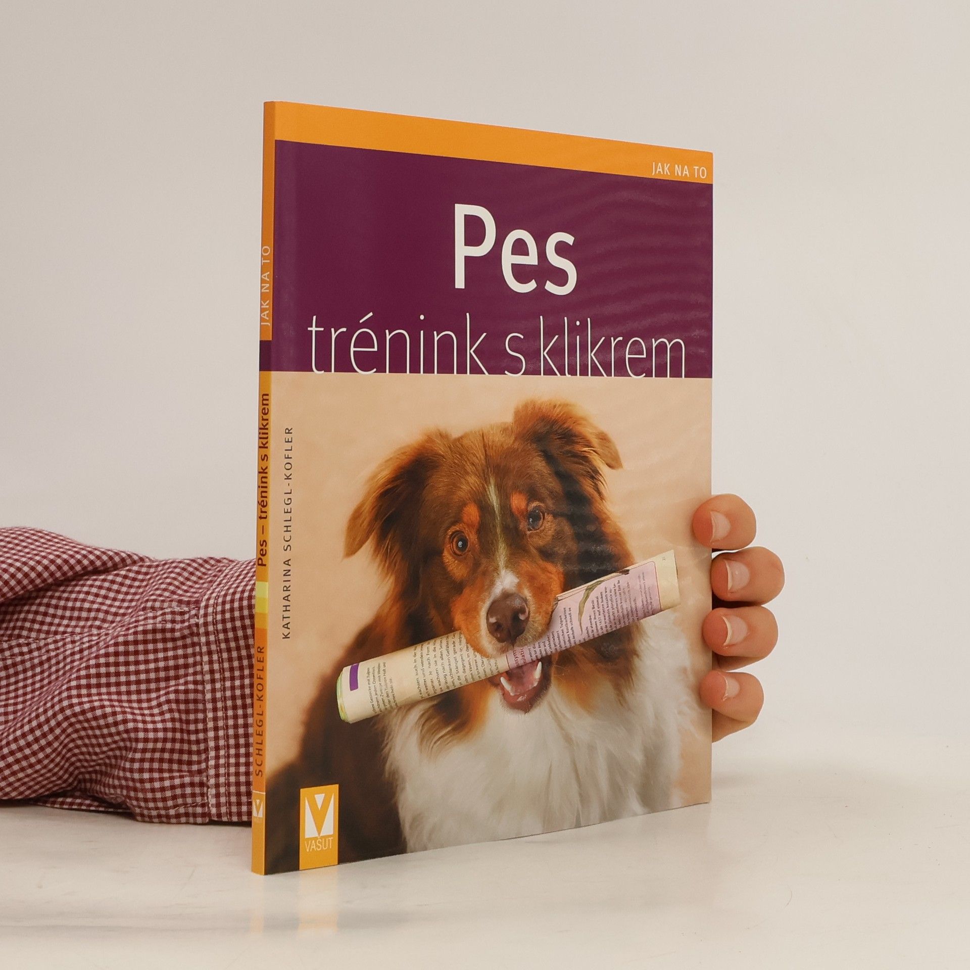 Pes - trénink s klikrem
