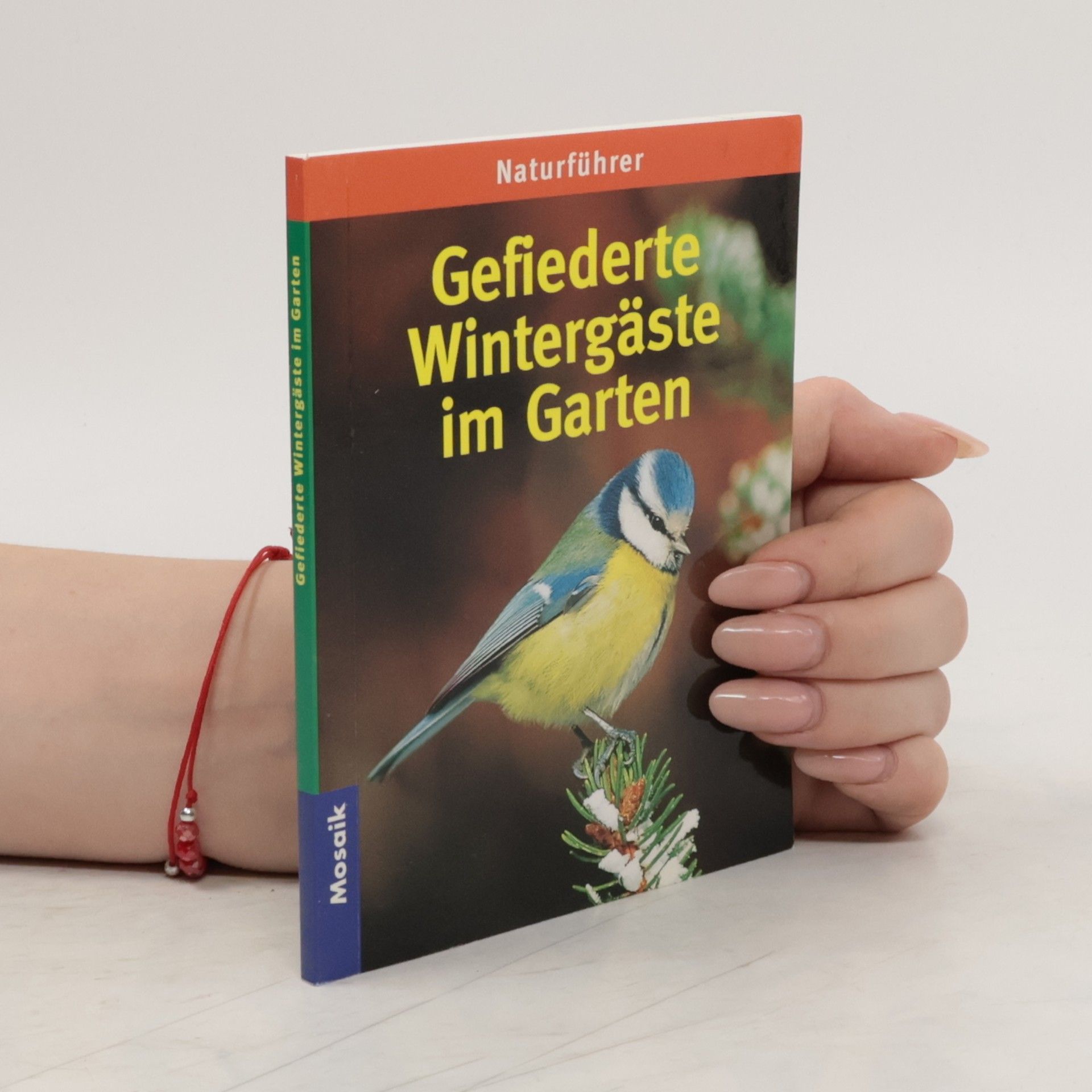 Hannelore Forster Gefiederte Wintergäste im Garten