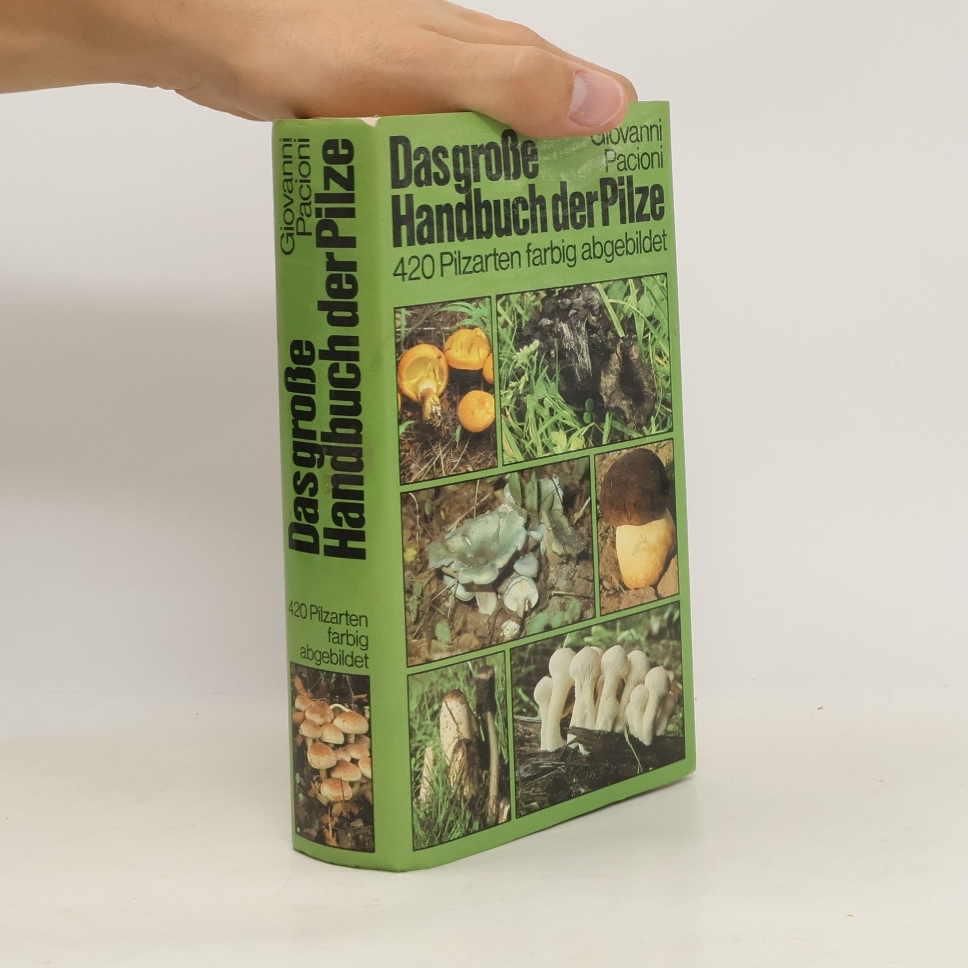 Giovanni Pacioni Das große Handbuch der Pilze