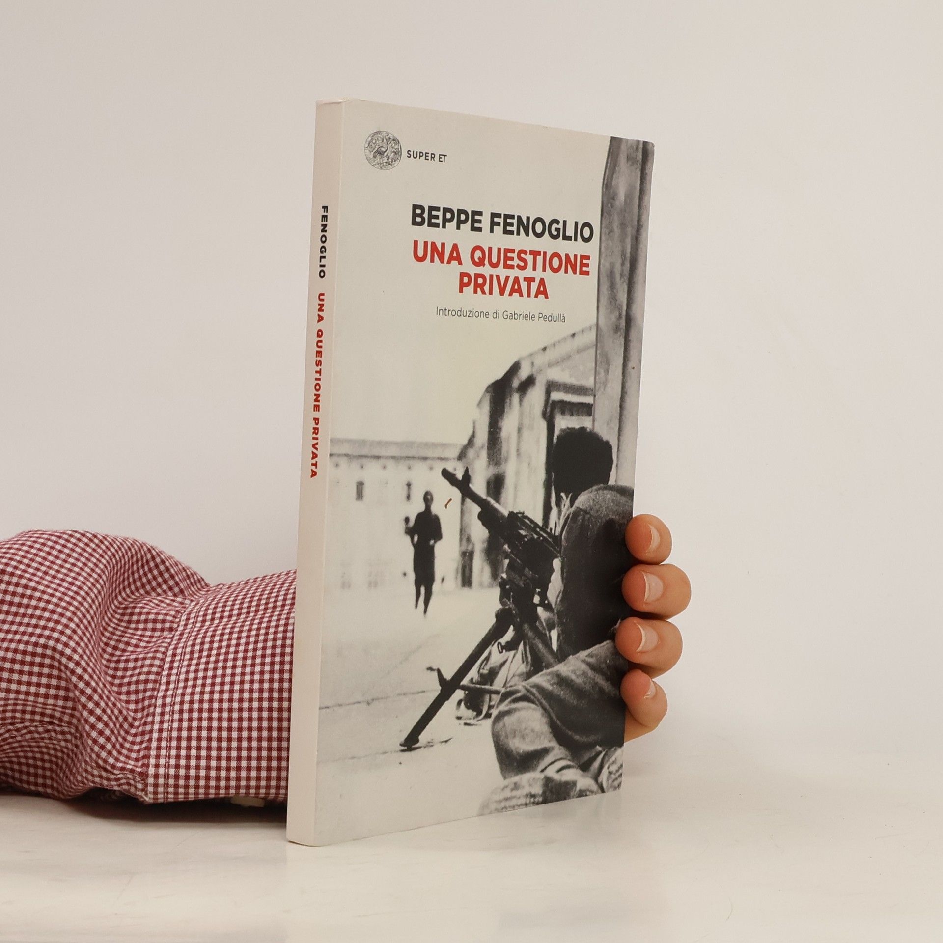 Beppe Fenoglio Una questione privata