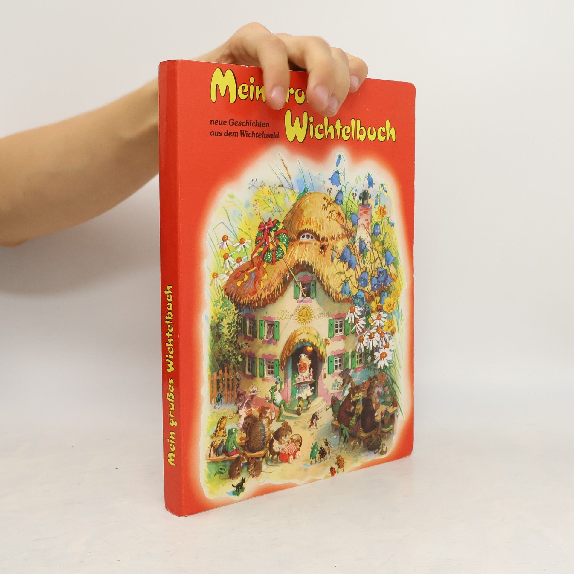 Various authors Mein grosses Wichtelbuch