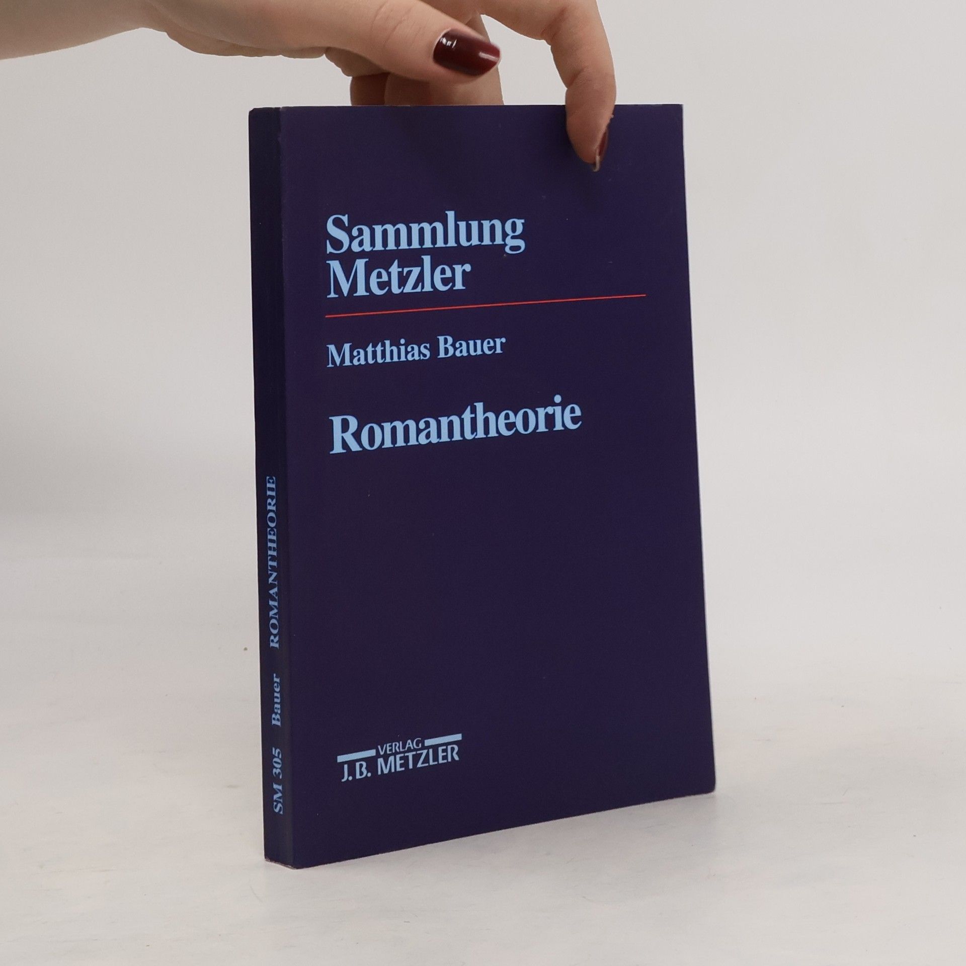 Matthias Bauer Romantheorie