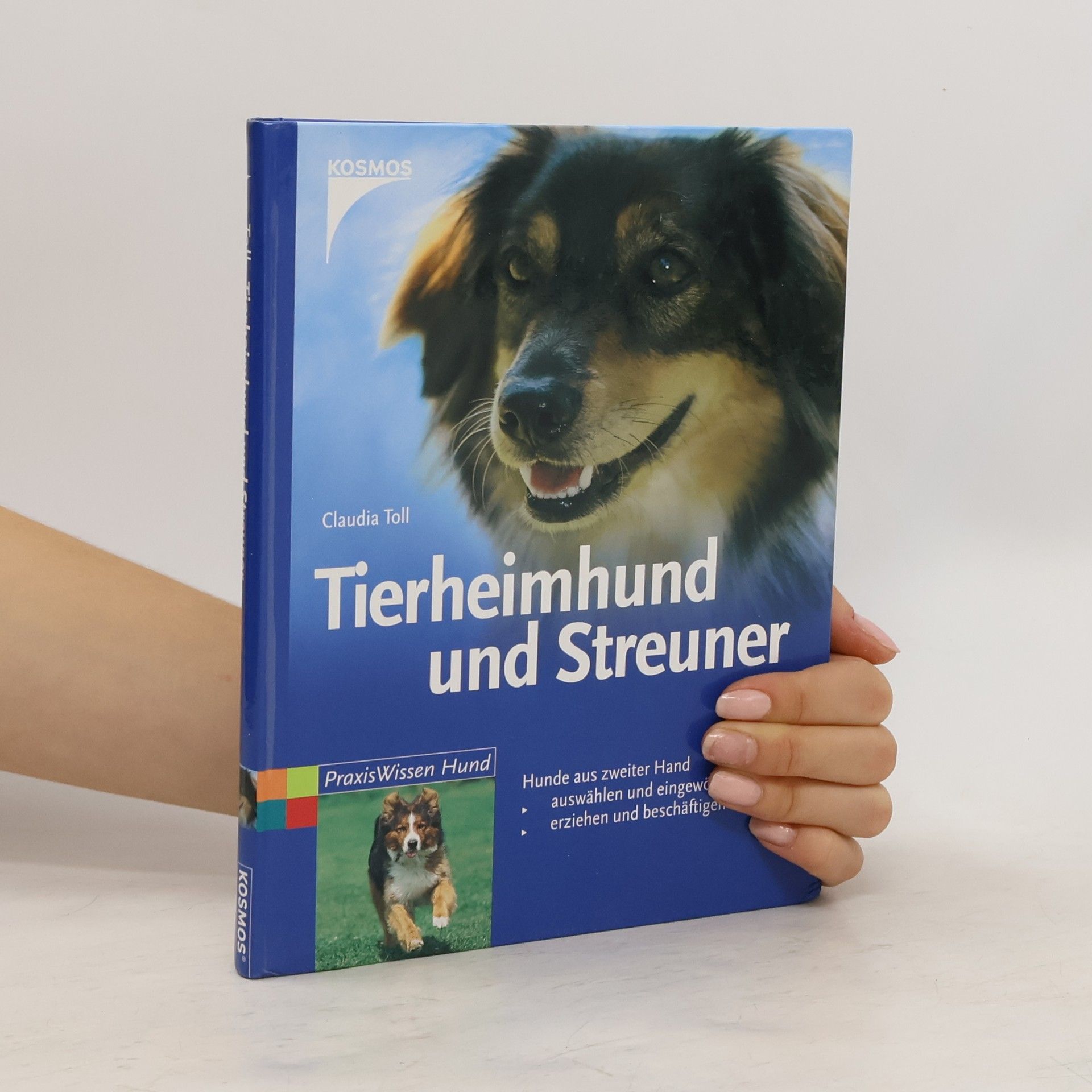 Claudia Toll Tierheimhund und Streuner