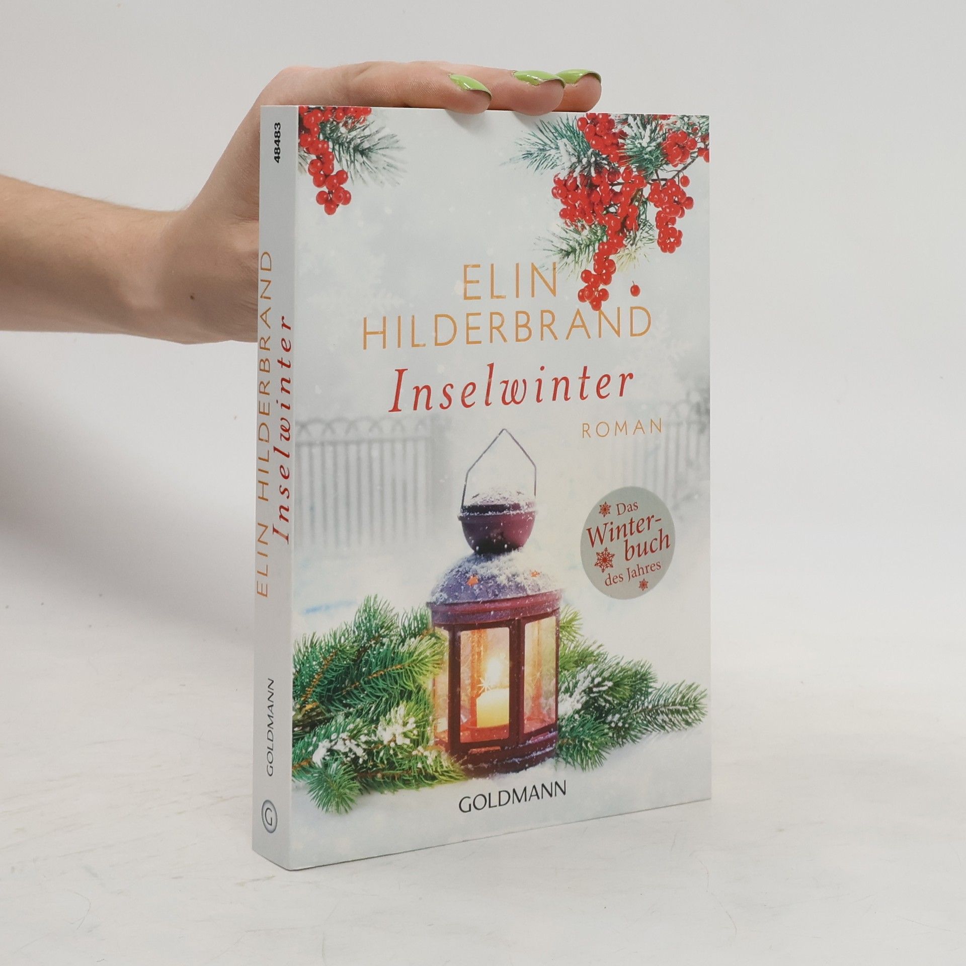 Elin Hilderbrand Inselwinter