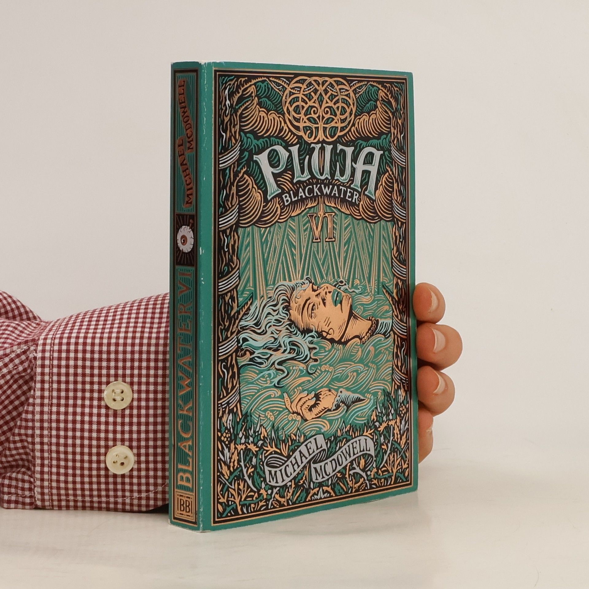 Michael McDowell Blackwater - 6: Pluja