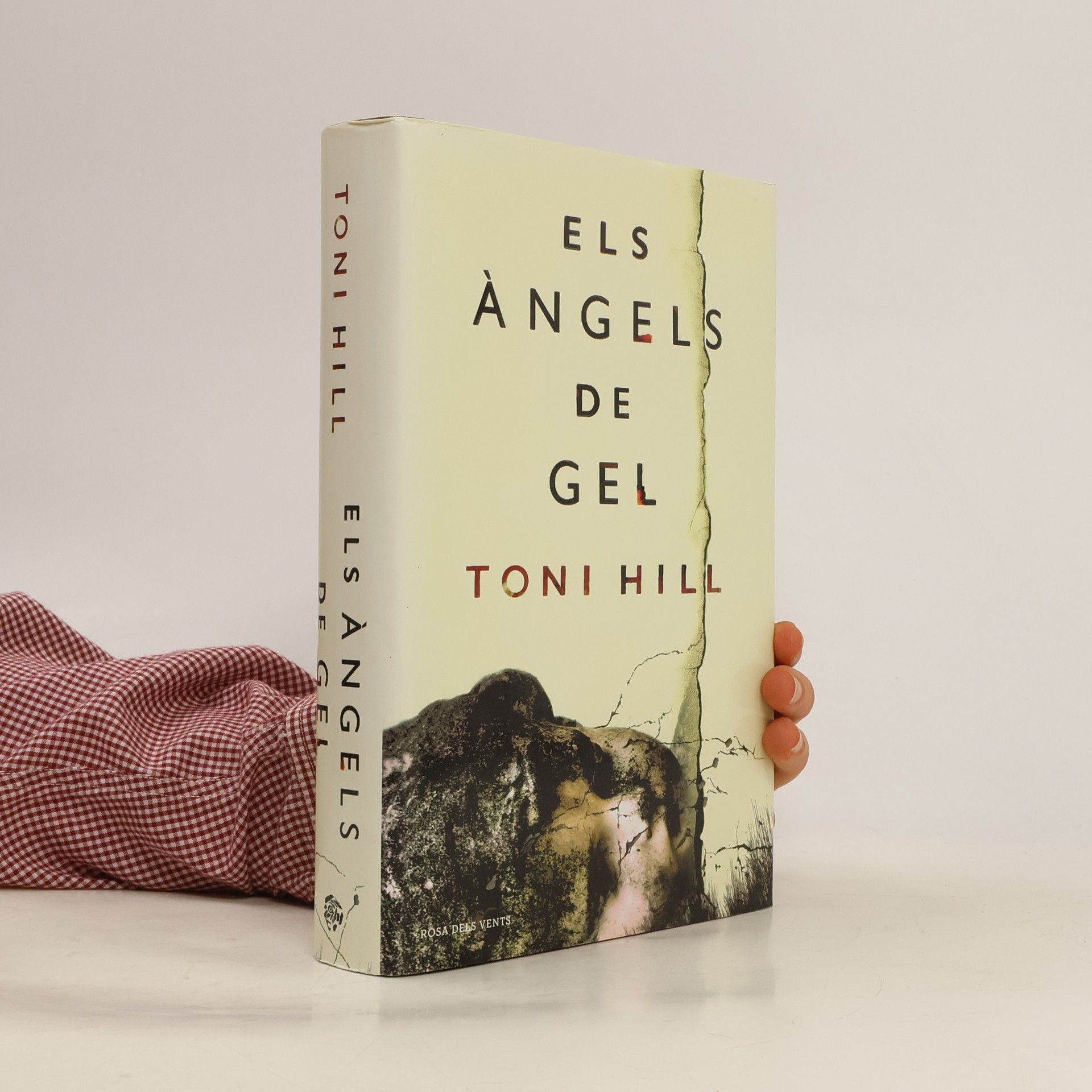Toni Hill Els àngels de gel