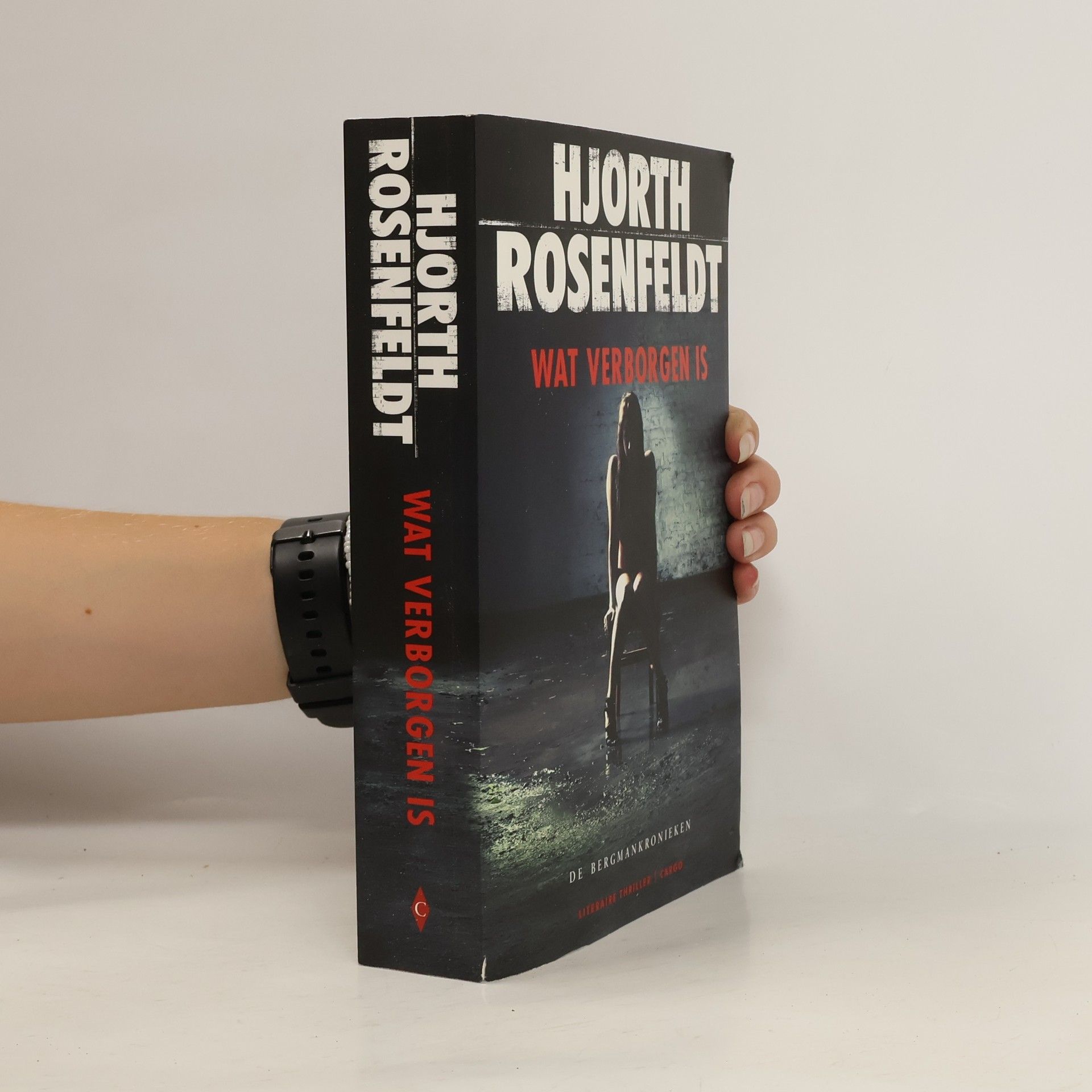 Hans Rosenfeldt De Bergmankronieken - 1: Wat verborgen is
