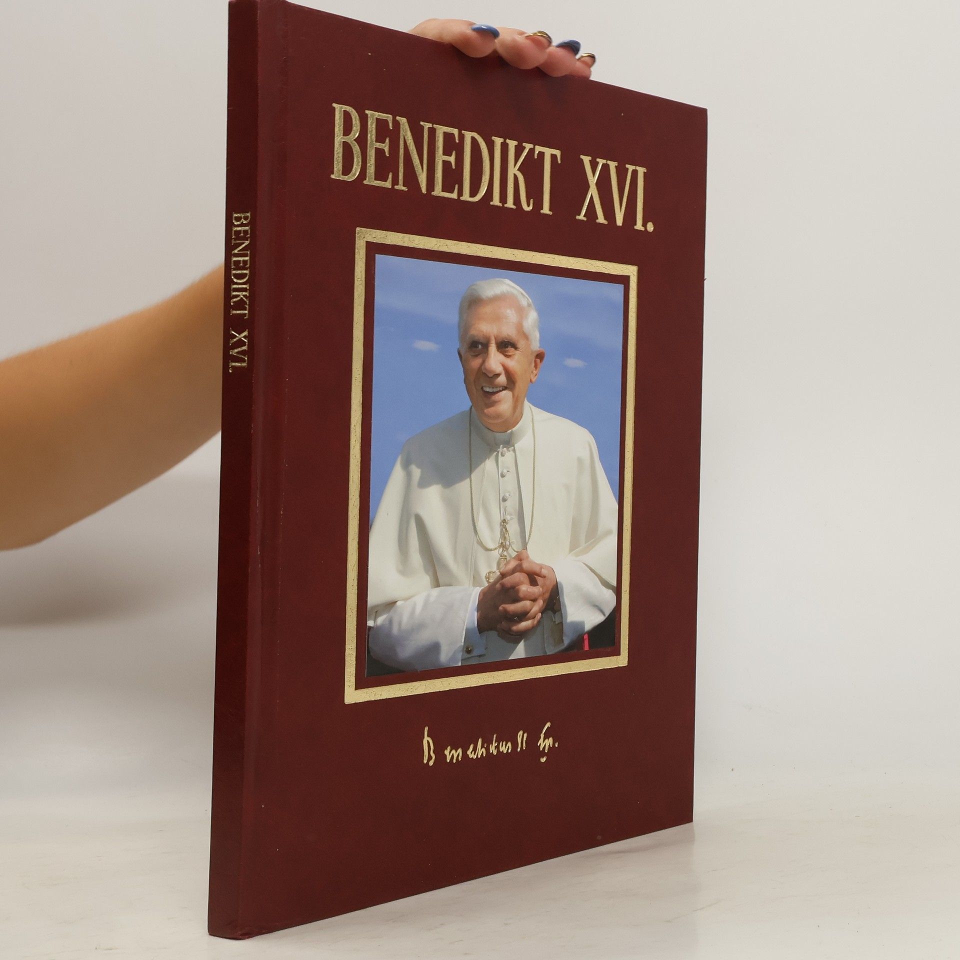 Eva Muroňová Benedikt XVI. - Most mezi břehy