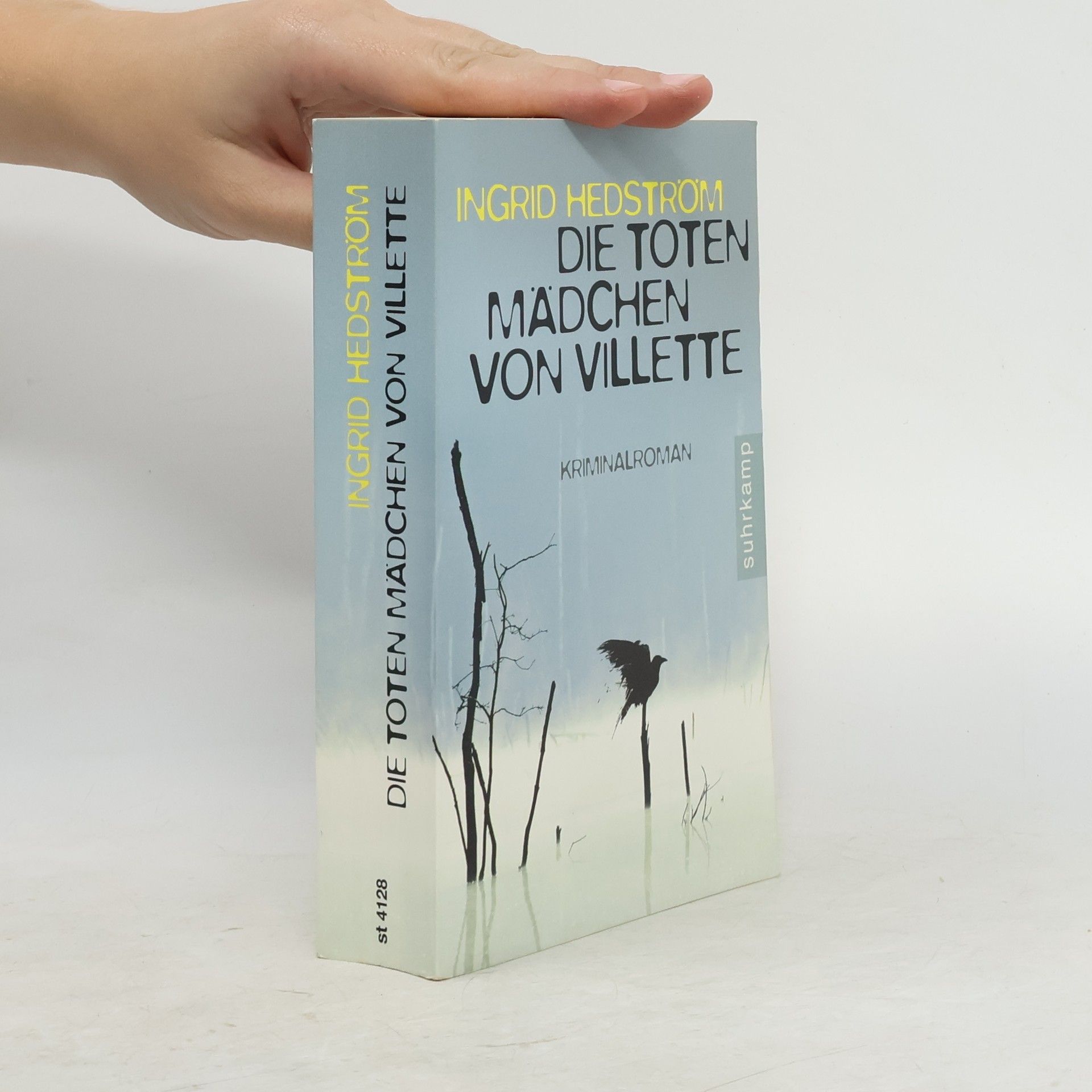 Ingrid Hedström Die toten Mädchen von Villette