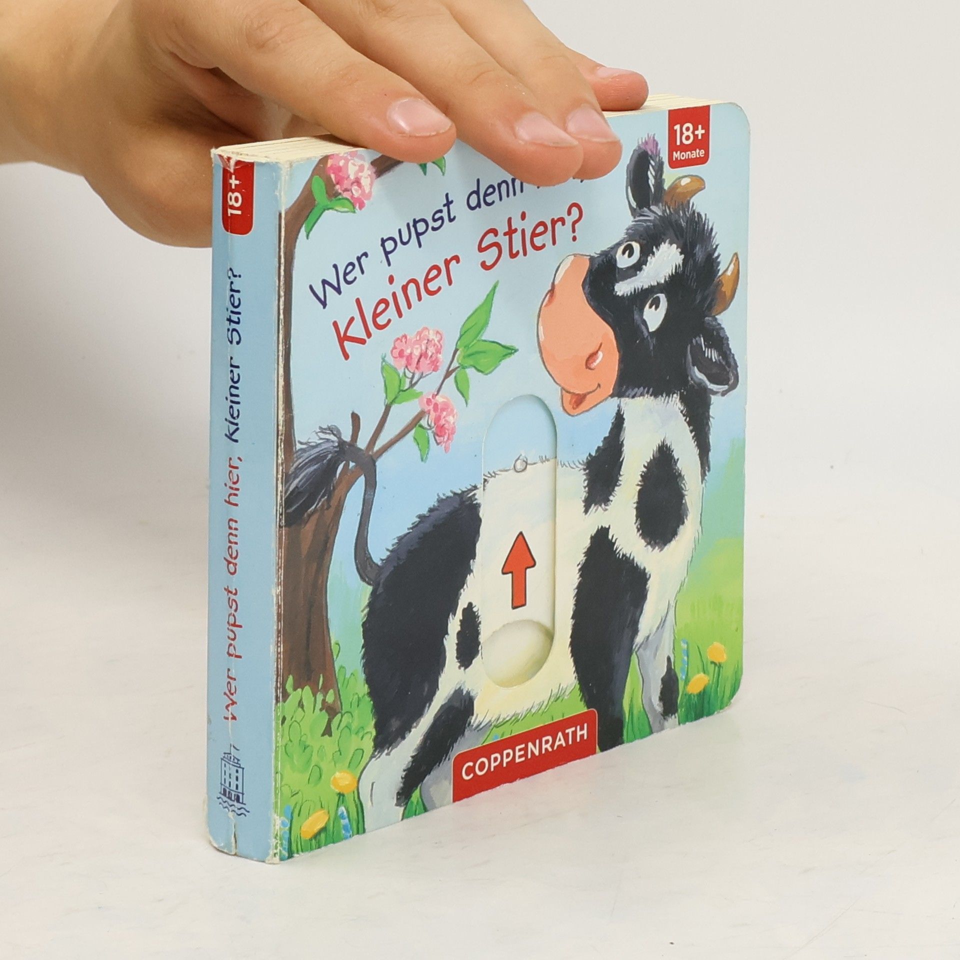 Anna Taube Wer pupst denn hier, kleiner Stier?