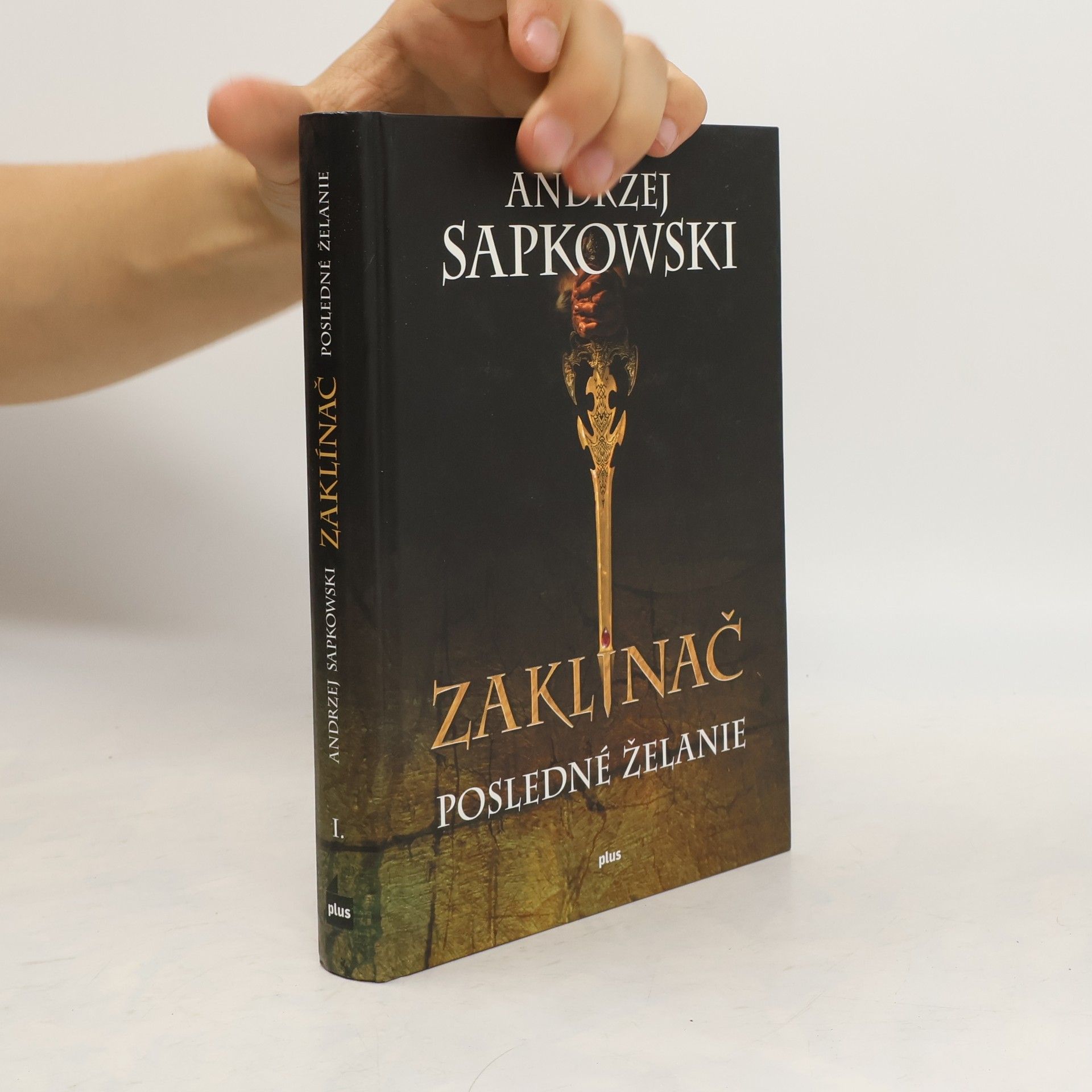 Andrzej Sapkowski Zaklínač. Posledné želanie