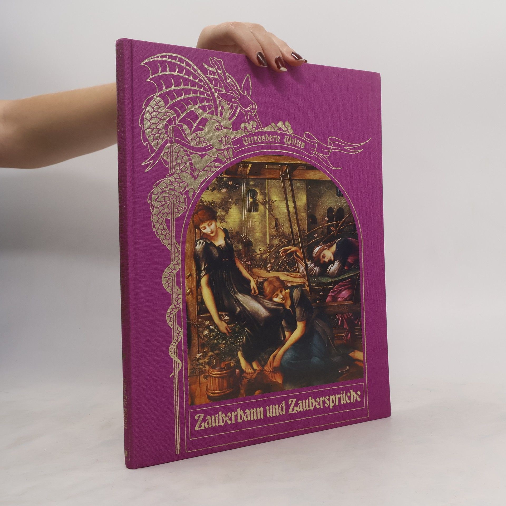Patricia N. MacKinney Zauberbann und Zaubersprüche