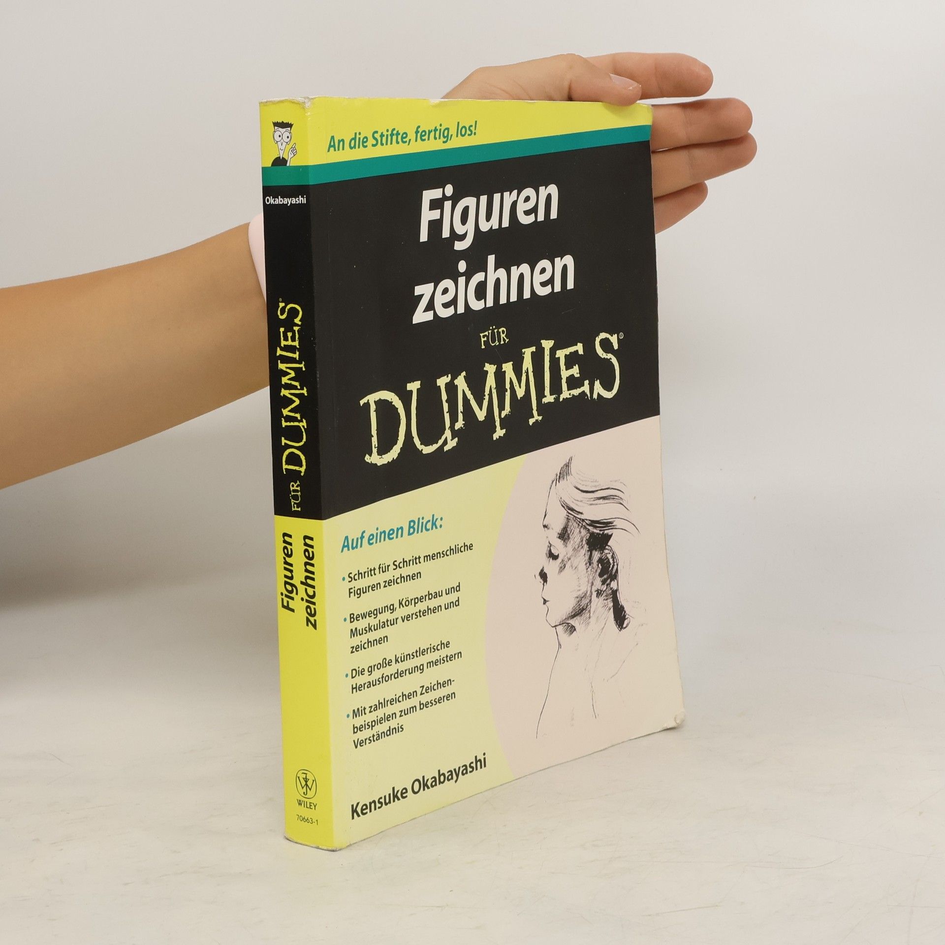 Kensuke Okabayashi Figuren zeichnen für Dummies
