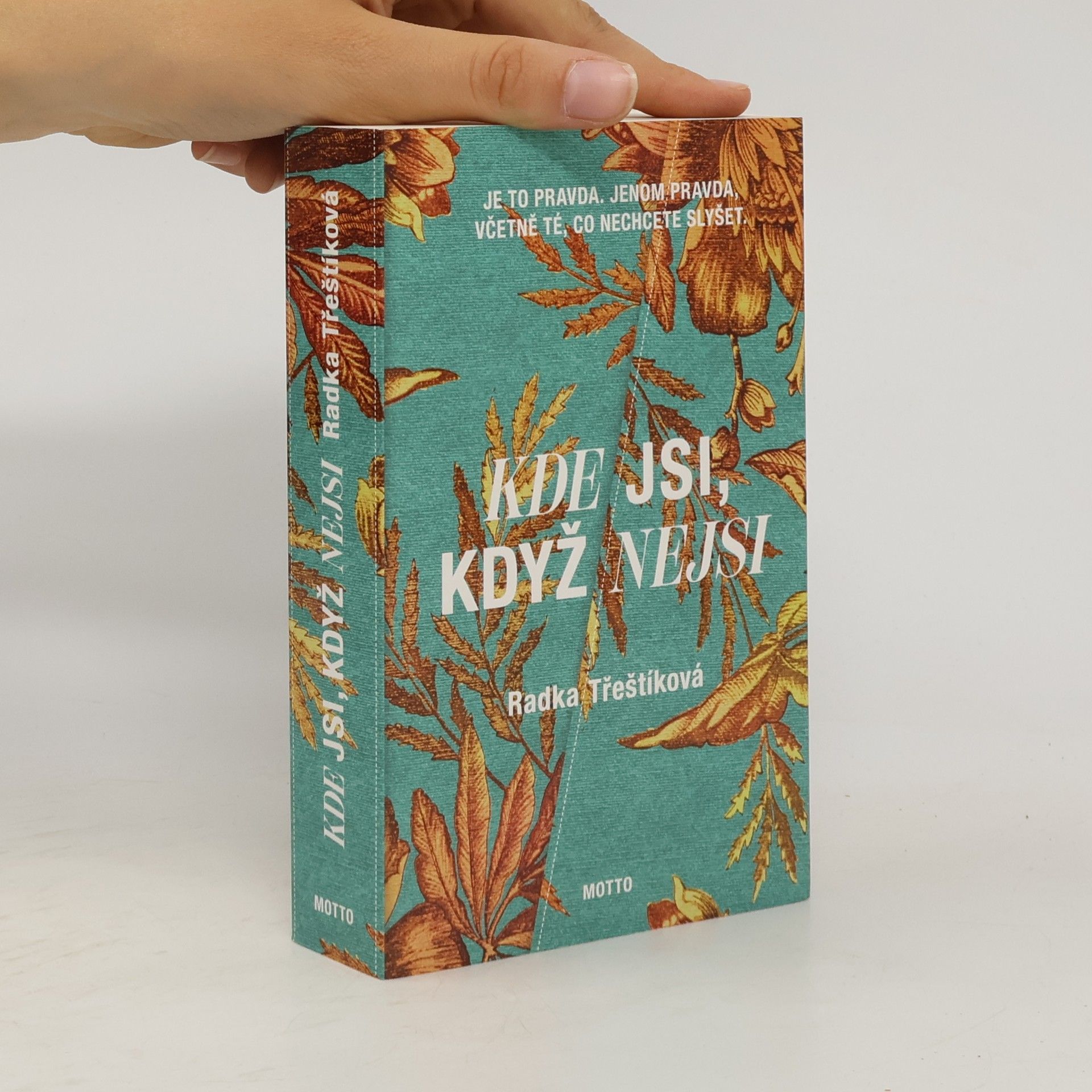 Radka Třeštíková Kde jsi, když nejsi