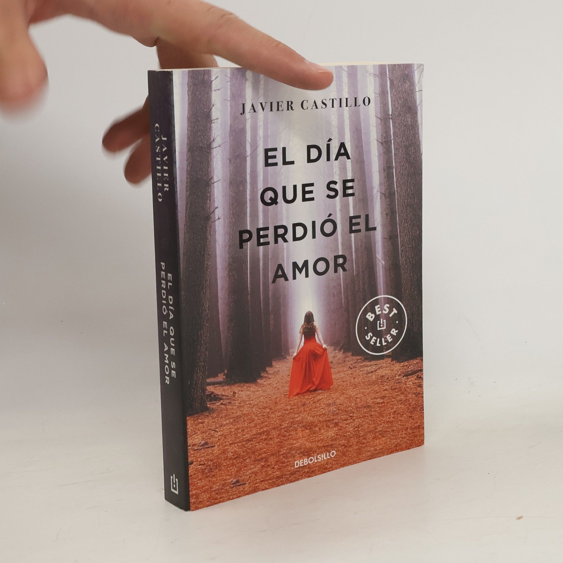 Javier Castillo El dia que se perdio el amor