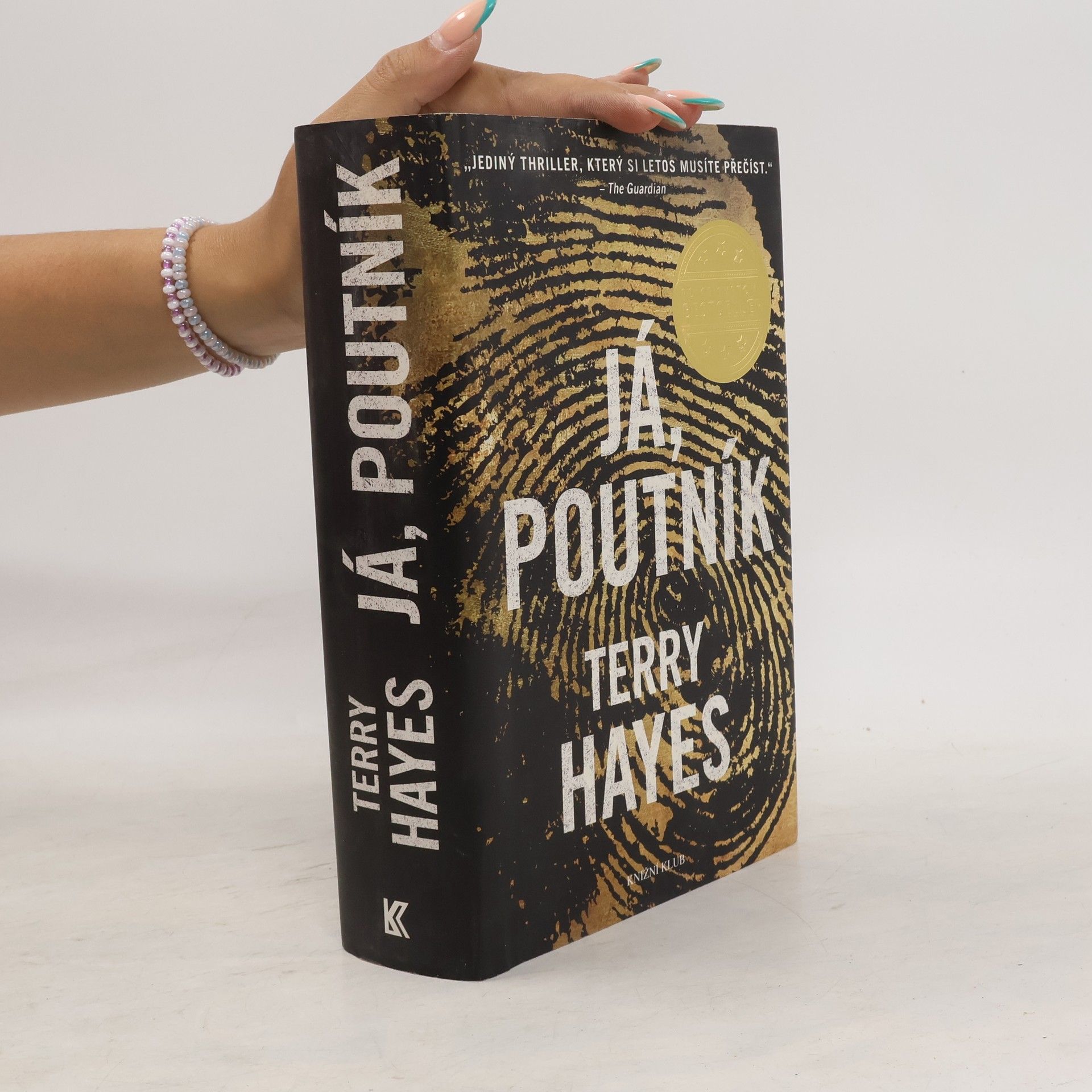 Terry Hayes Já, Poutník