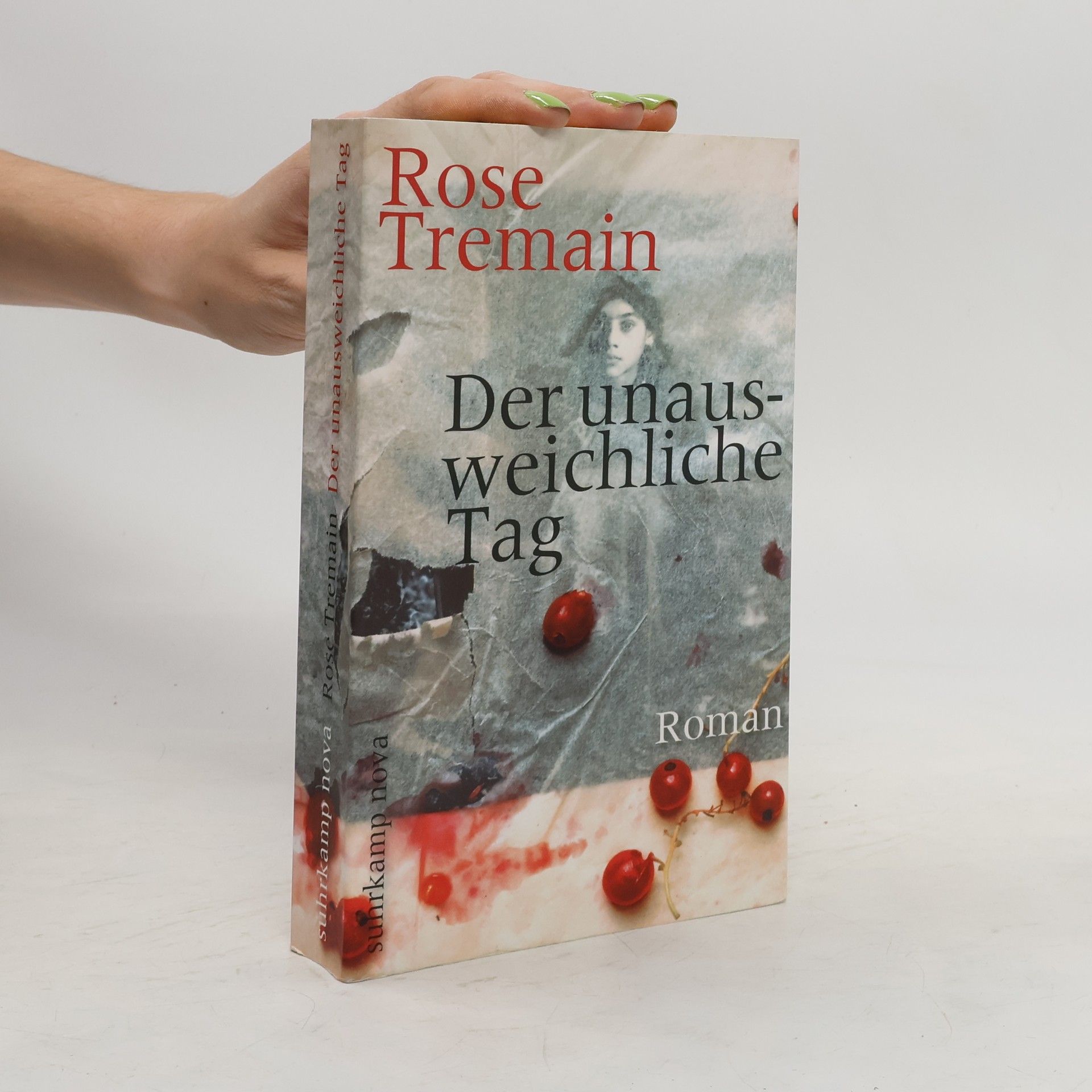 Rose Tremain Der unausweichliche Tag