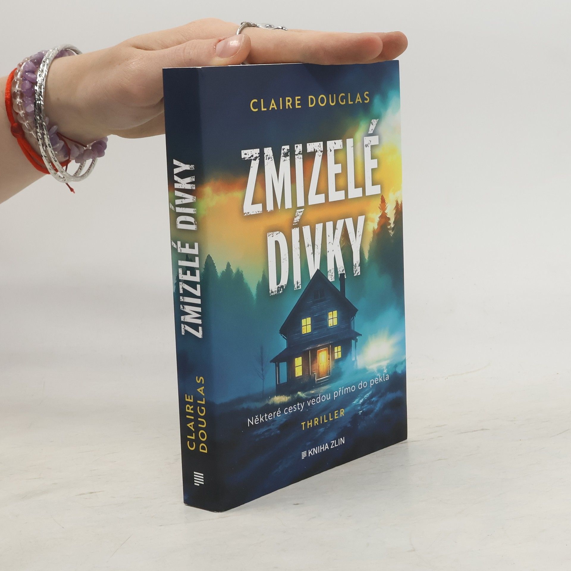 Claire Douglas Zmizelé dívky