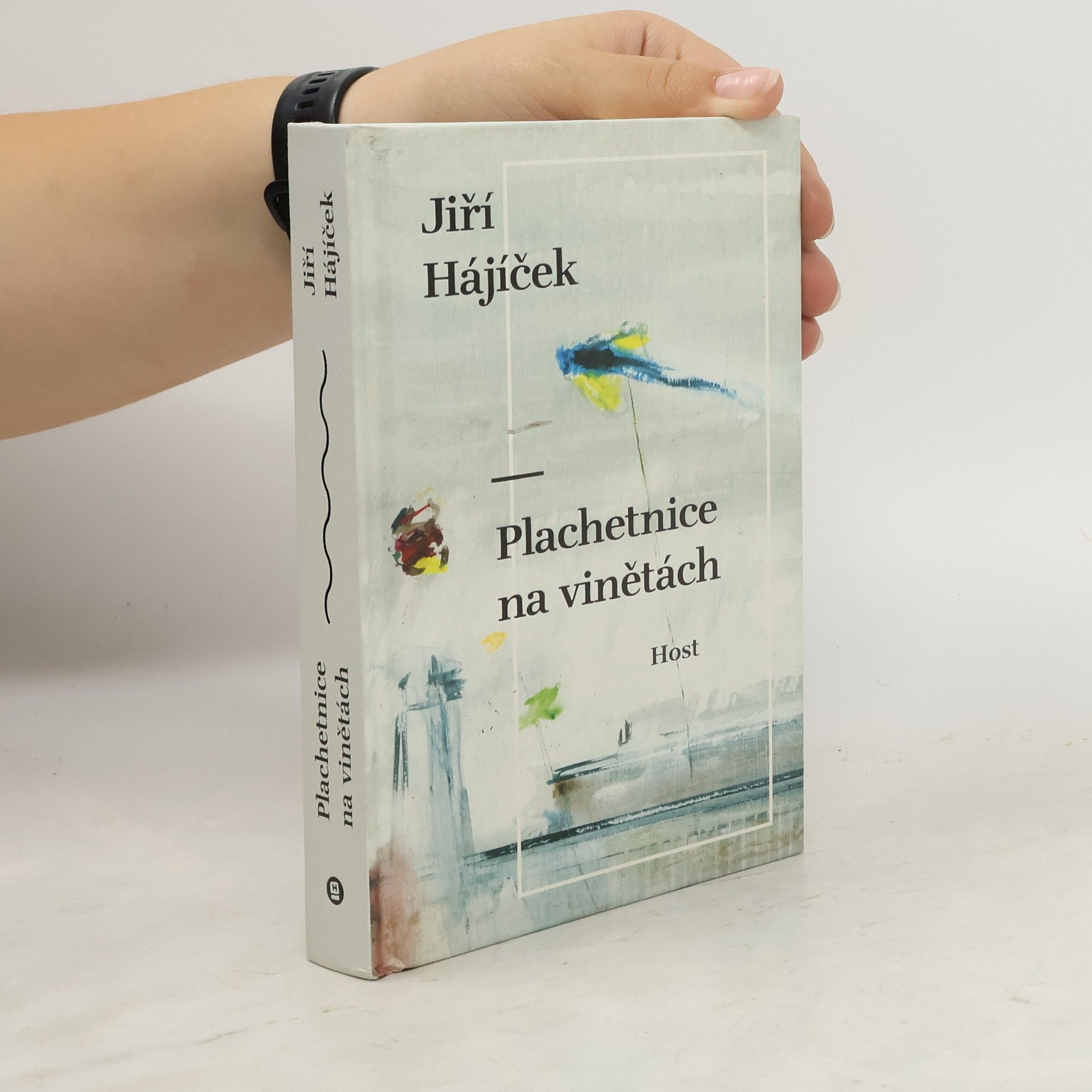 Jiří Hájíček Plachetnice na vinětách