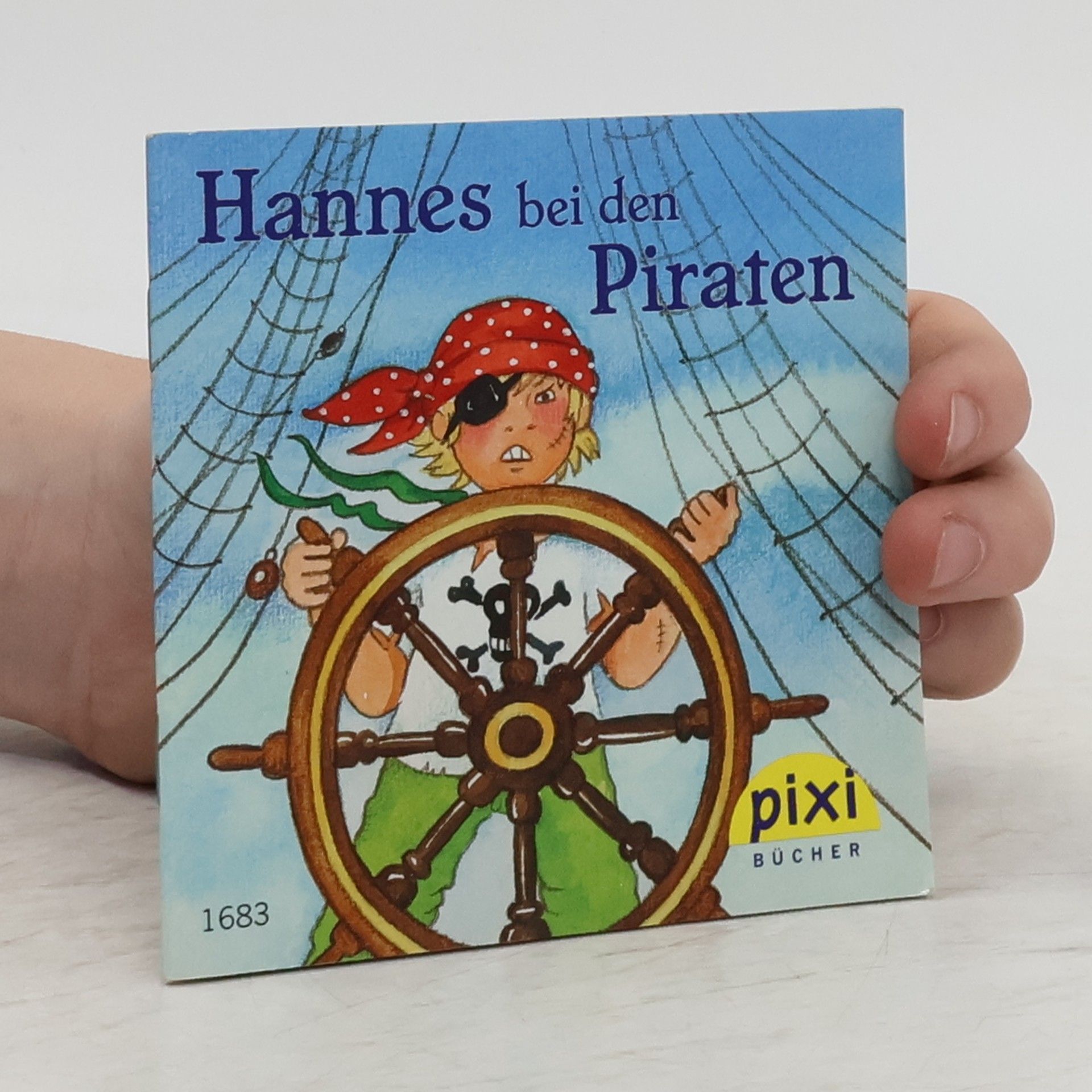 Autorenkollektiv Hannes bei den Piraten